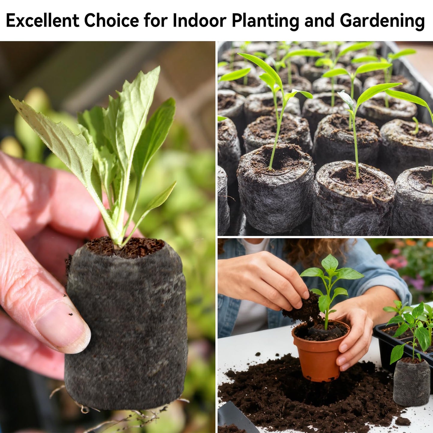 Halatool 200 Pcs 30mm Peat Pellets Block Potting Soil for Seedlings, Compressed Garden Soil Seed Starter Nutrient Peat Pods for Starting Seeds, Planting Flowers, Vegetables, Herbs