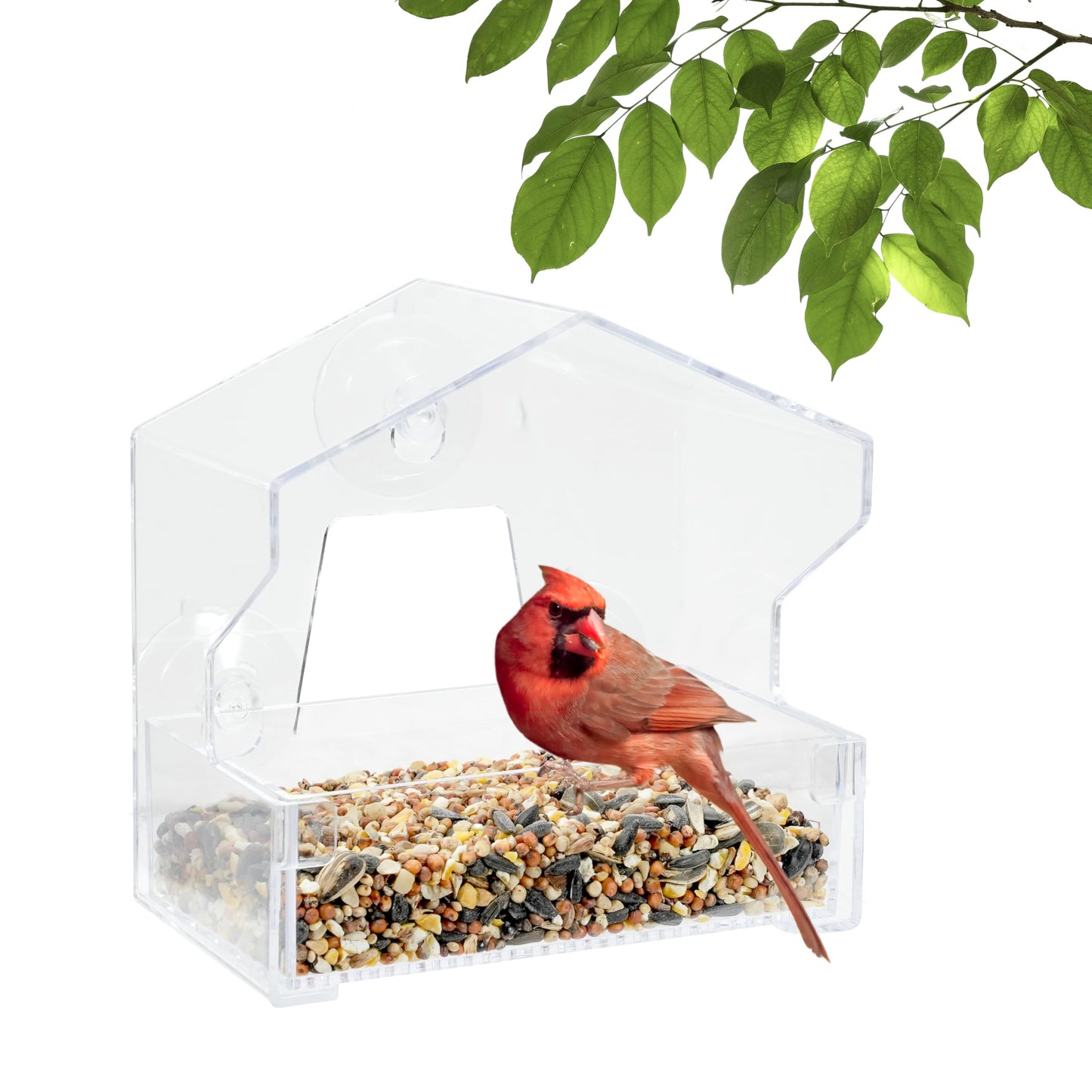 Perky-Pet Clear Outdoor Window Bird Feeder with Strong Suction Cups – 1/2 Lb Seed Capacity - Perky Pet 345 - Entertaining Bird Feeding - Watch Birds Eat Seeds