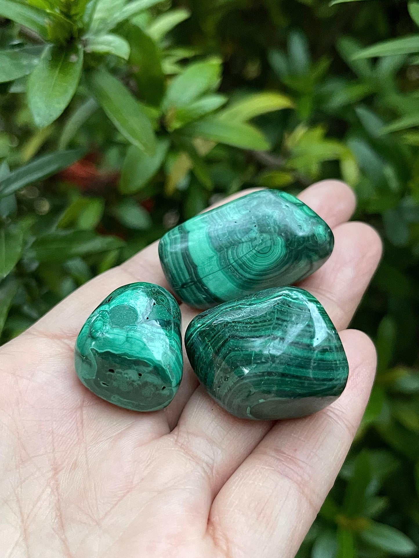 GAF TREASURES 5 Pcs Malachite Tumbled Stones, Polished Natural Malachite Gemstone, Malachite Healing Crystals (Malachite)