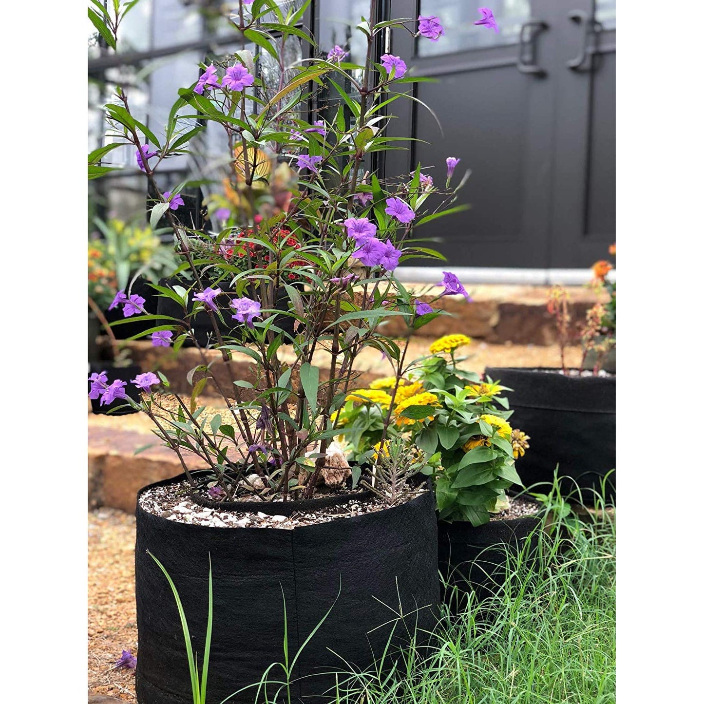 Smart Pots 30-Gallon Smart Pot Soft-Sided Container, Black