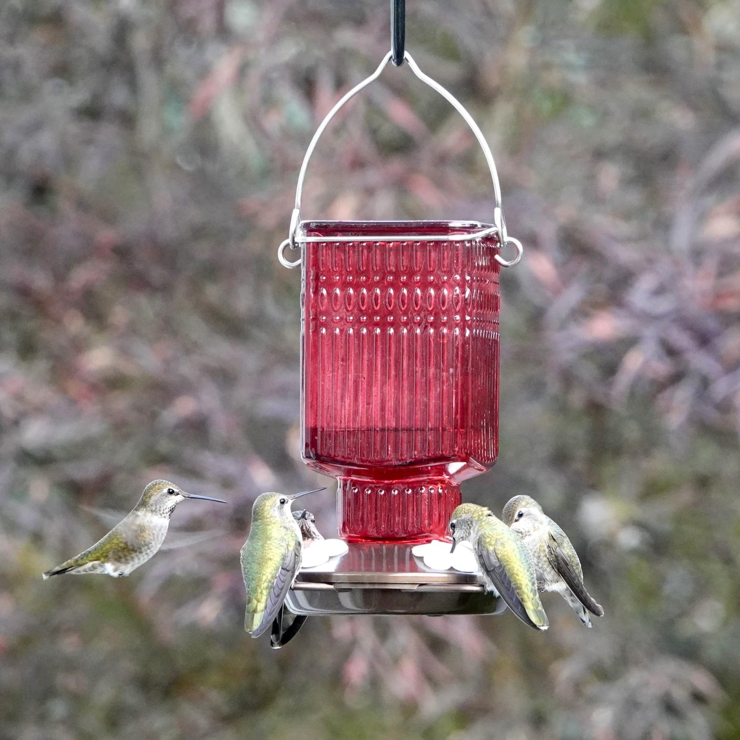 Nature's Way Hanging Glass Hummingbird Feeder for Outdoor Decor, 22 Ounce Capacity Nectar Feeder, 4 Easy to Clean Flexible Ports, Red