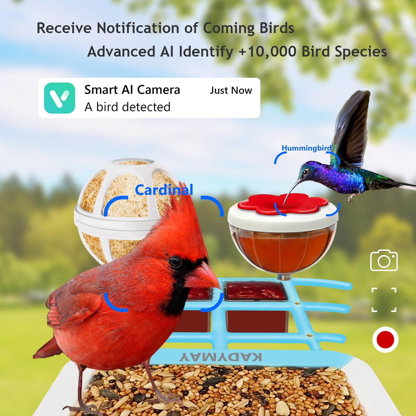 64GB Smart Bird Feeder with Camera Solar Powered, AI Identify 10K+ Bird Aves, 2K 3MP HD Live Video &Playback on Phone, 2.4G WiFi Birdhouse Camera Wireless Outdoor-Watching House (Light Blue)