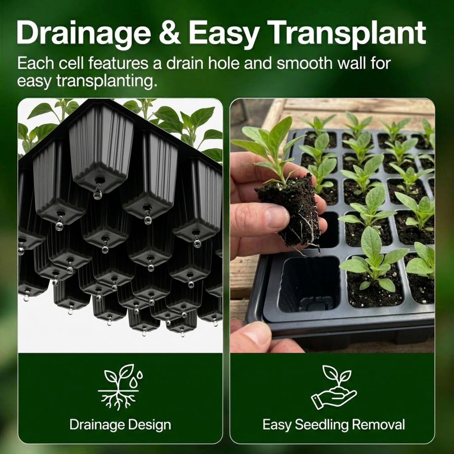 Gardzen 10-Set Garden Propagator Set, Seed Tray Kits with 400-Cell, Seed Starter Tray with Dome and Base 15" x 9" (40-Cell Per Tray)