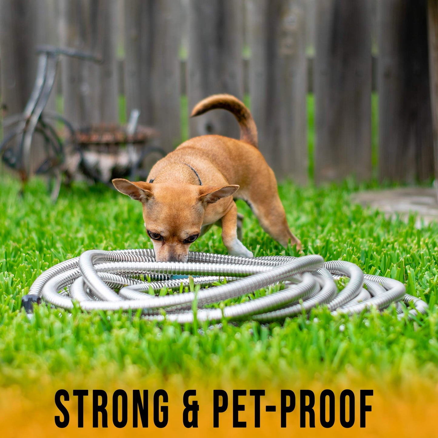 Tardigrade Metal Garden Hose 50 FT, Heavy Duty 304 Stainless Steel Water Hoses, Unmatched Durability, Flexible, No Kink & Tangle, Lightweight, Pet & Rust Proof for Outdoor Lawn Yard