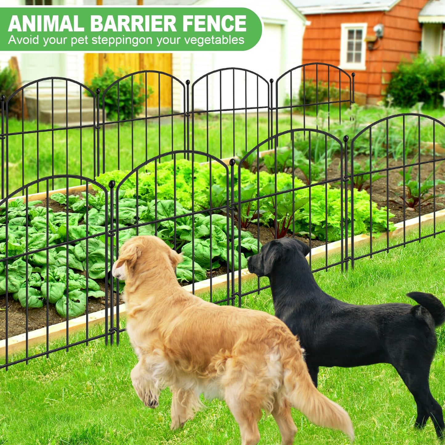 Decorative Garden Fence 17in x 10ft, 10 Pack Rustproof Metal Animal Barrier Fence, Arched Flower Bed Edge Decorative Rabbit and Dog Ground Defense No-Dig Fence for Patio Patio Outdoor