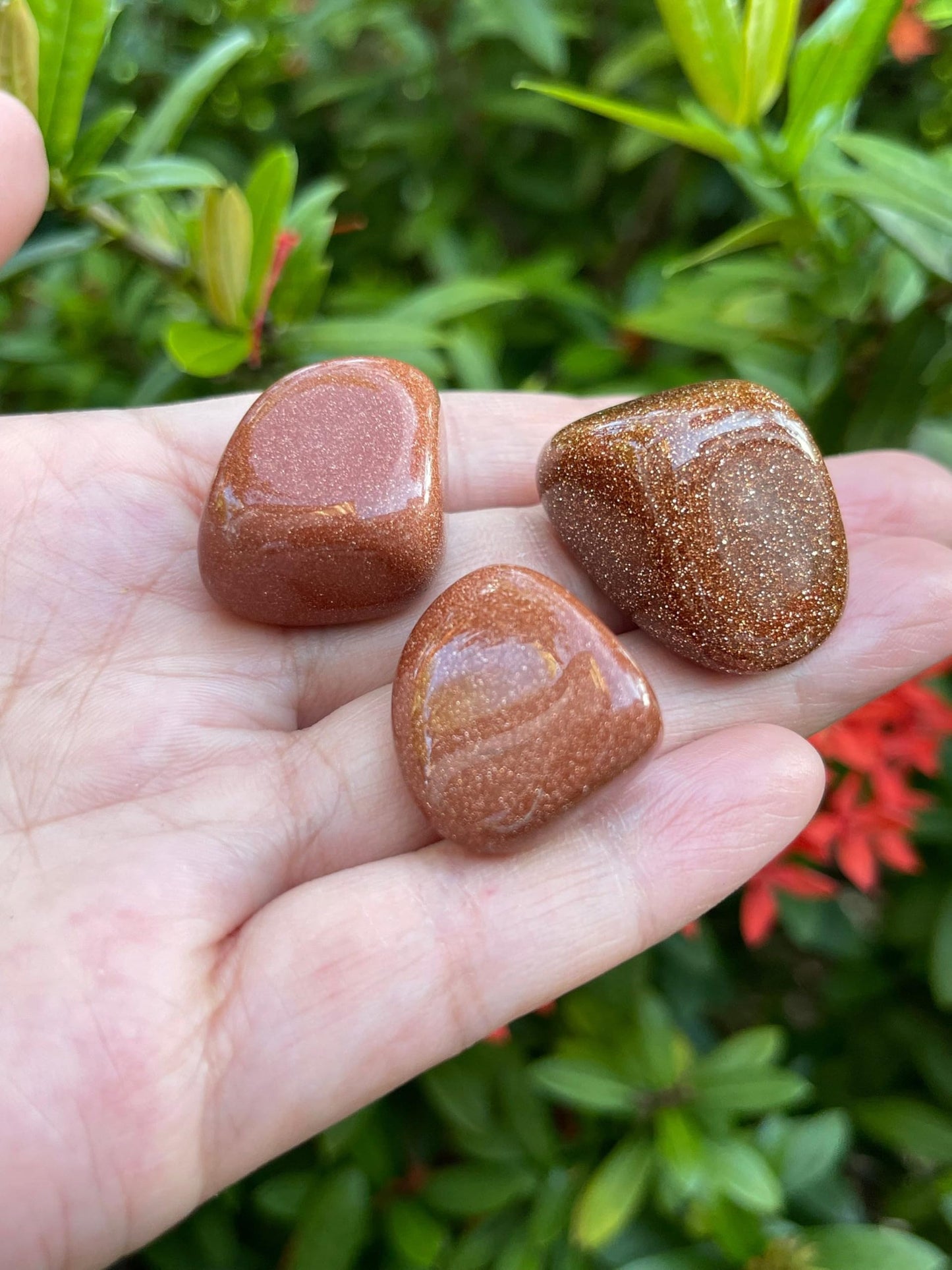 GAF TREASURES 5 Pcs Red Goldstone Tumbled Stones, Polished Red Goldstone Gemstone, Red Goldstone Healing Crystals (Red Goldstone)