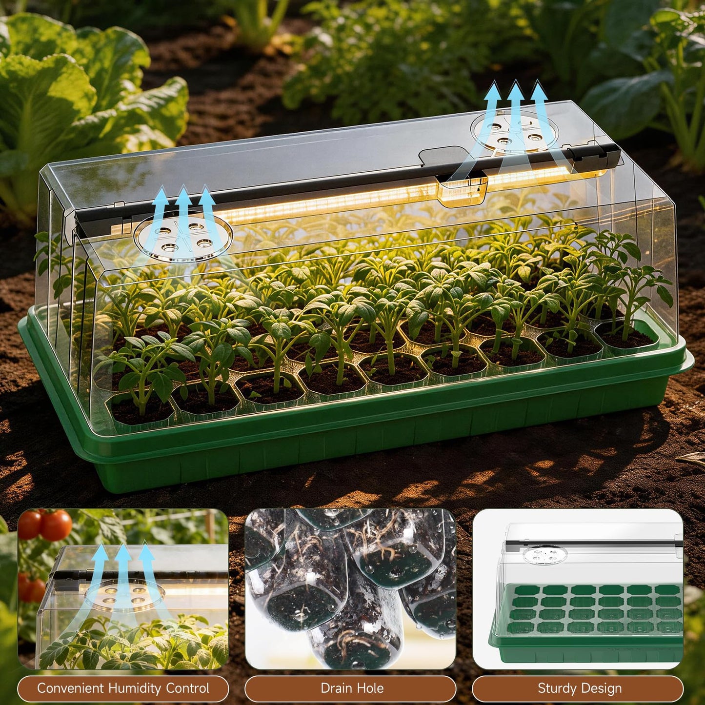 Seed Starter Tray with Grow Light, Seed Starter Kit Full Spectrum with 5 Dimmable Brightness & Timer, Indoor Plant Grow Tray for Beginners & Seasoned Gardeners, Gardening Gifts (Green, 144 Cells)