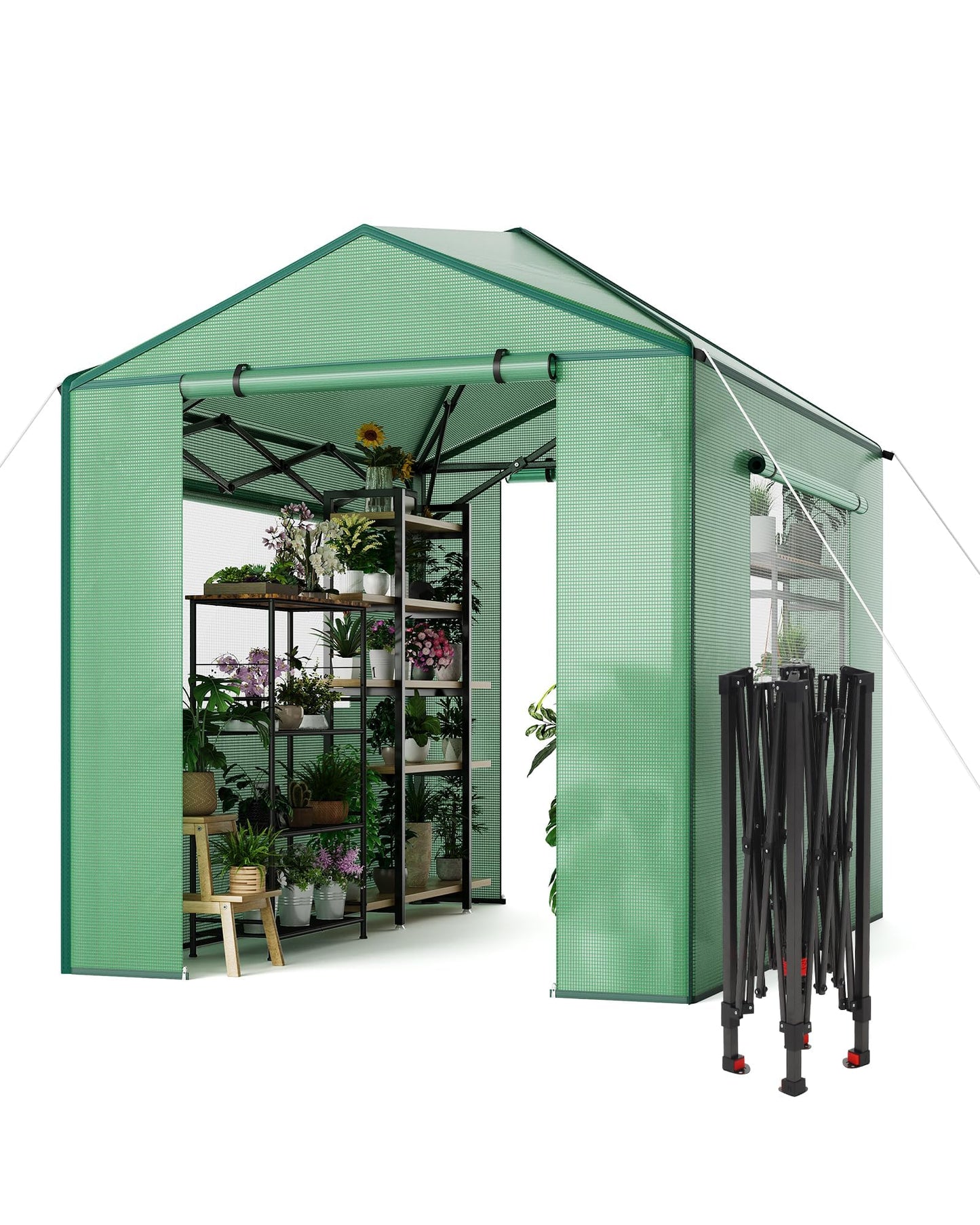 6x8 FT Pop-Up Greenhouse with Durable PE Cover, 96"x144" Large Grow Tent for All Seasons | Features Zippered Doors & Mesh Windows for Indoor/Outdoor Plants, Easy to Assemble (Green)