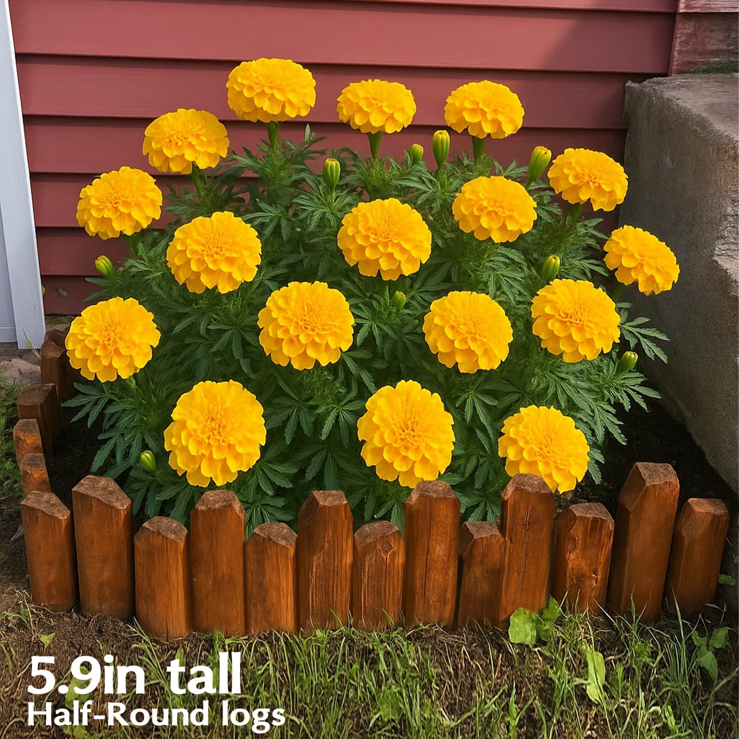Wood Garden Edging for Landscaping, Round Log Fence Border for Flower Beds, Heavy-Duty Carbonized Pine with Rustic Look, Pre-Connected Natural Logs for Outdoor Paths and Lawns (11.8" H x 35" L, 1Pack)