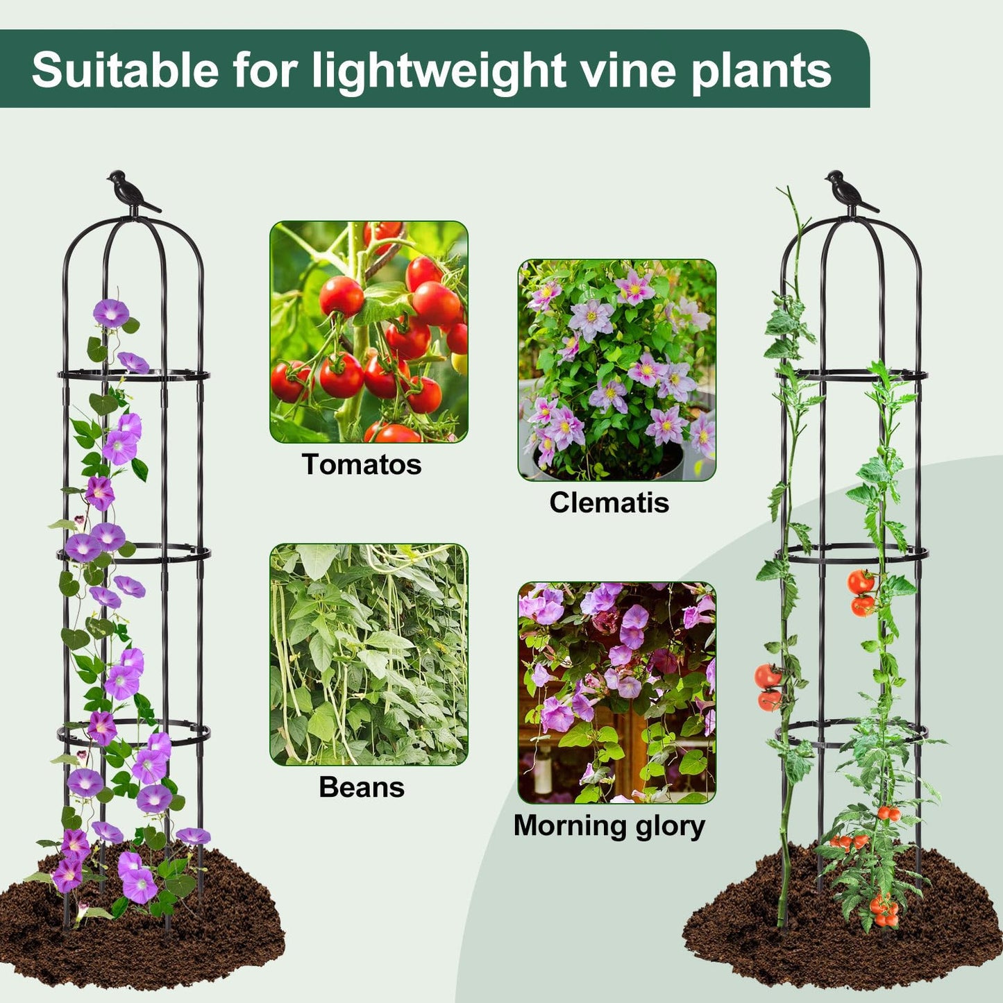 FOLLOOK Garden Trellis Obelisk for Climbing Plants, Lightweight Metal Plant Support for Roses Clematis Vines, Rustproof Decorative Trellis for Outdoor Garden Patio Planter, Black, 2 Pack