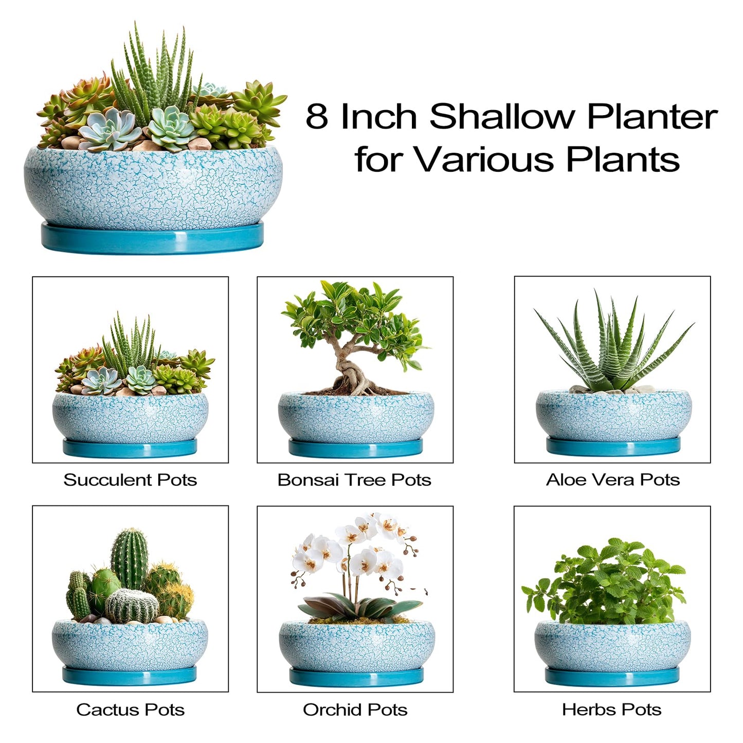 EPFamily Succulent Pots 8 Inch - Ceramic Bonsai Pots with Drainage Hole and Saucer, Succulent Planters for Indoor Plants Outdoor, Round Shallow Planter Bowl, Porch Decor, Gardening Gifts, Blue