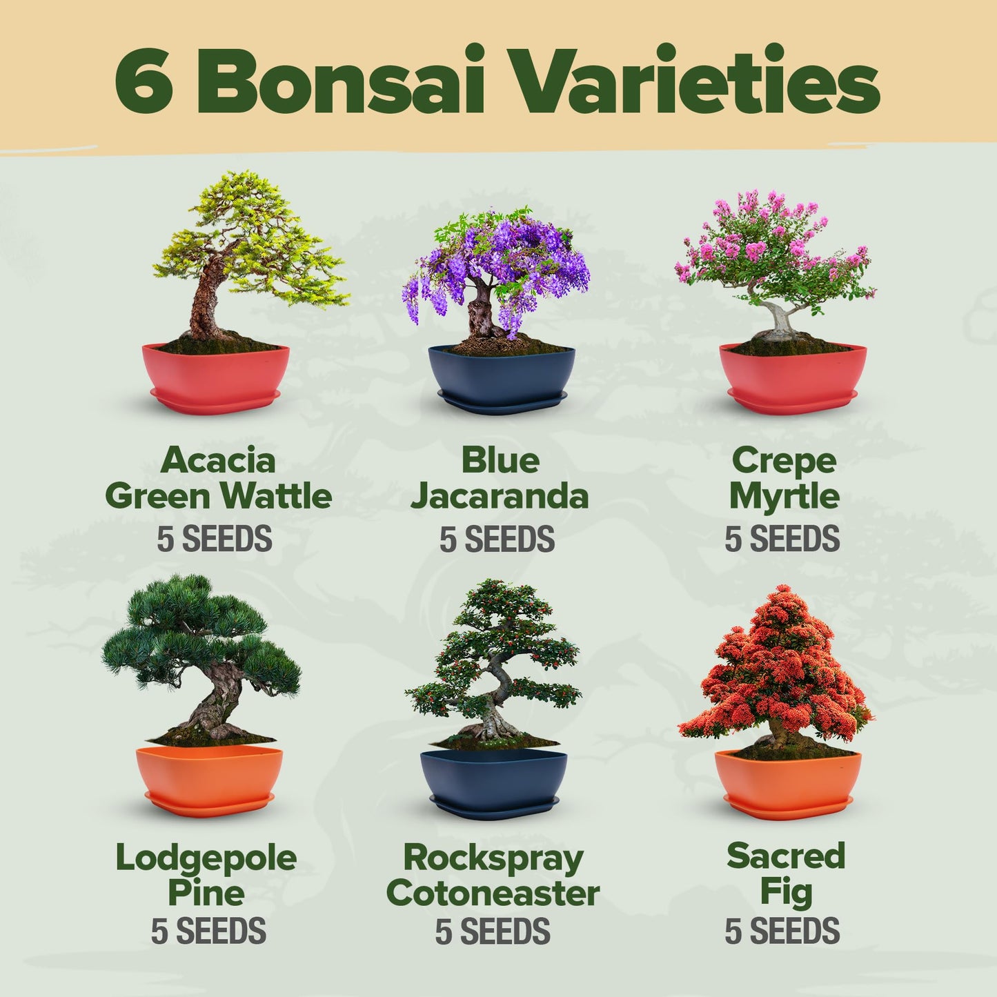 HOME GROWN Bonsai Tree Kit – 6 Heirloom Varieties with Unique Pots – DIY Bonsai Starter Kit for Adults & Beginners – Christmas Gift for Men Women Gardeners Plant Lovers – Indoor Growing Kit