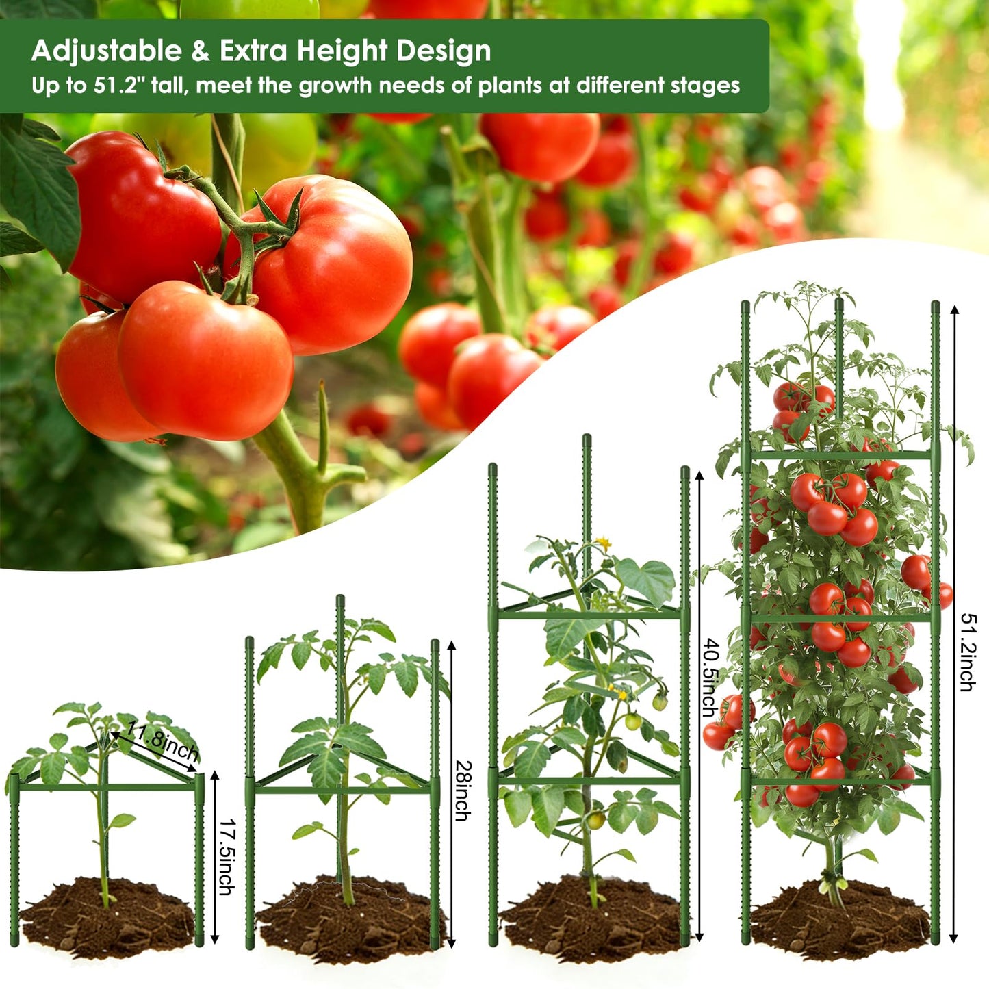 CEWOR Tomato Cage - 6 Pack Tomato Cages for Garden, 51.2inch Tall Tomato Trellis Triangle Stakes for Climbing Plants Outdoor, Plant Support Cages Structure for Pots, Raised Garden Bed, Vegetables