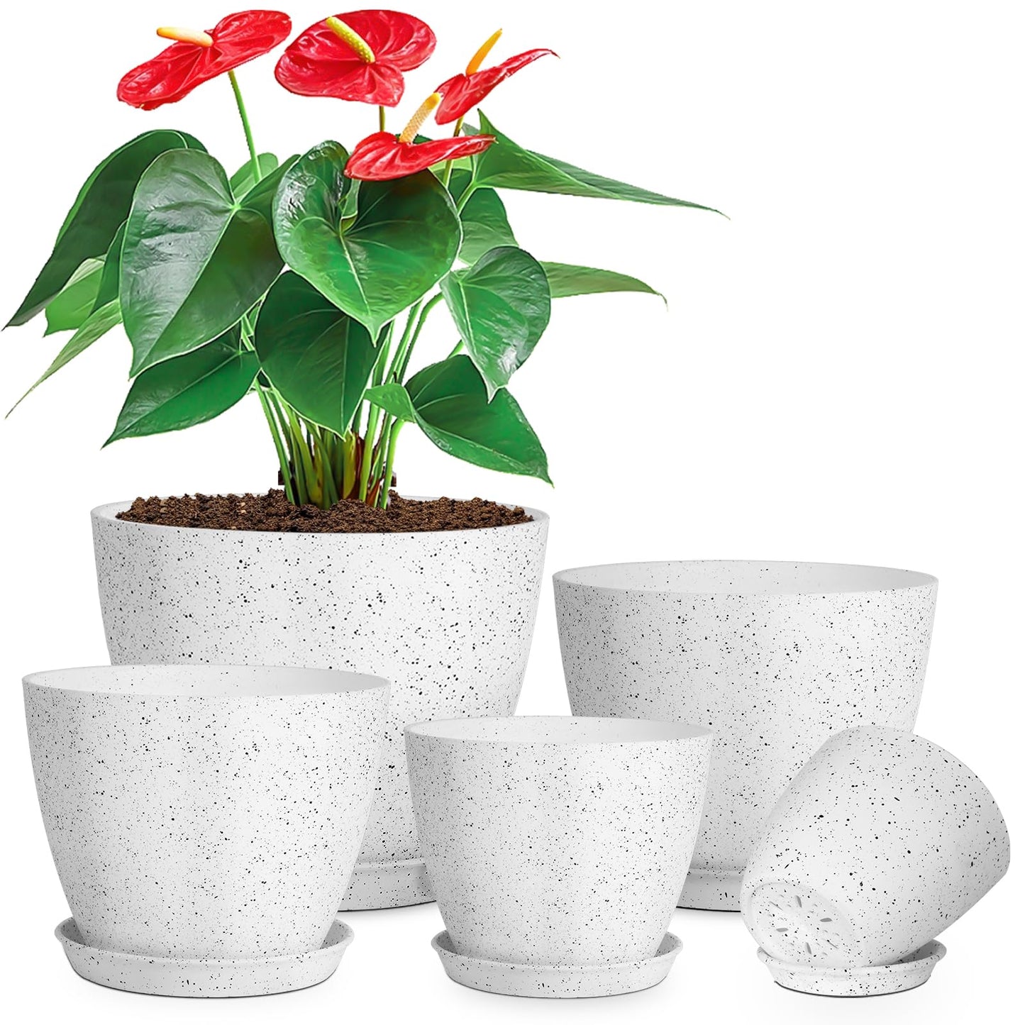 lokeisna 5 Pcs Plant pots, 7.5/6.5/5.7/4.9/4.1 inch Pots for Plants, Flower Pot Indoor Modern Decorative Plant Pot, Plant Pots Indoor with Drainage and Saucer for All House Plants, Spray Spots