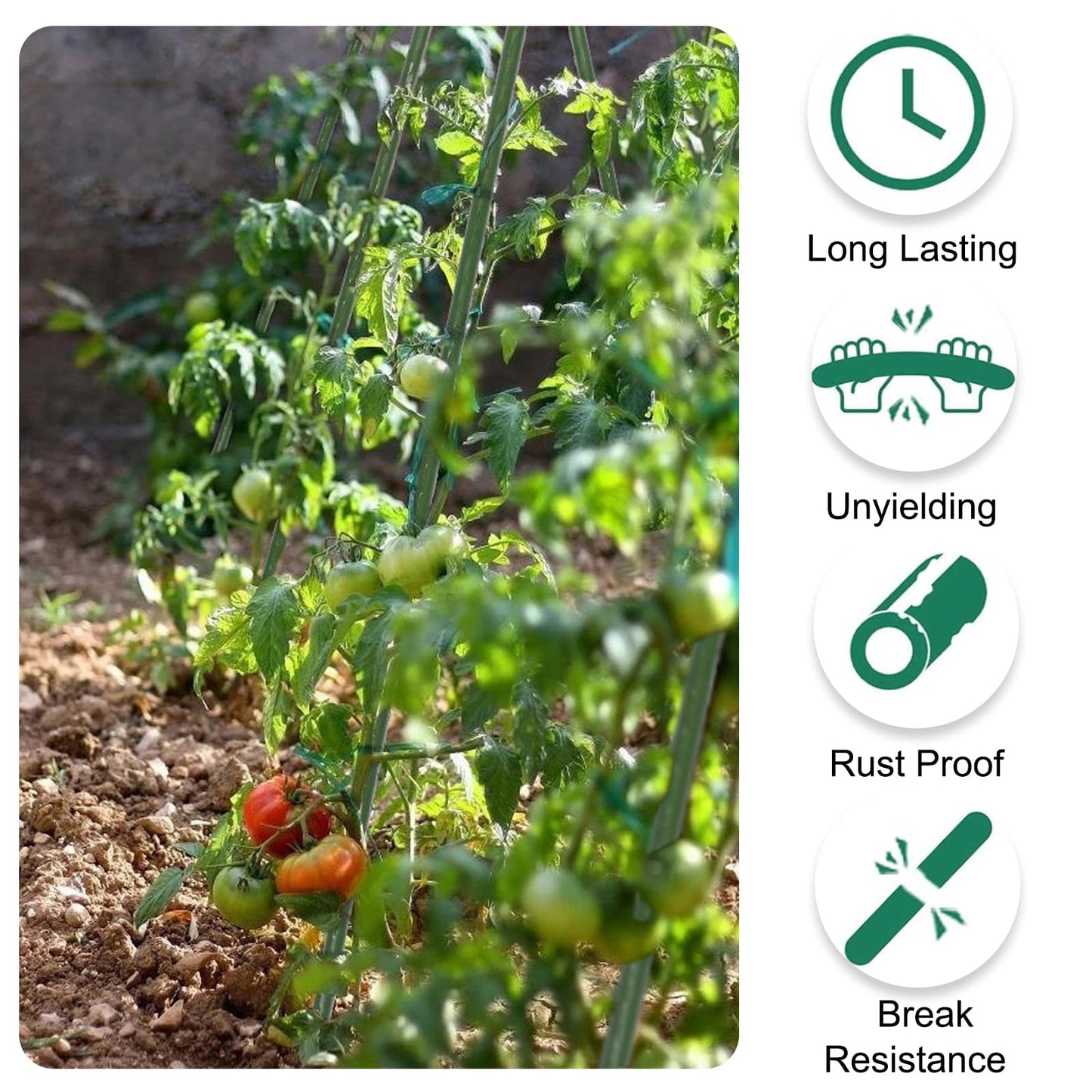 TINGYUAN Garden Stakes 36 Inches Steel Plant Stakes Tomato Stakes 3ft Pack of 25