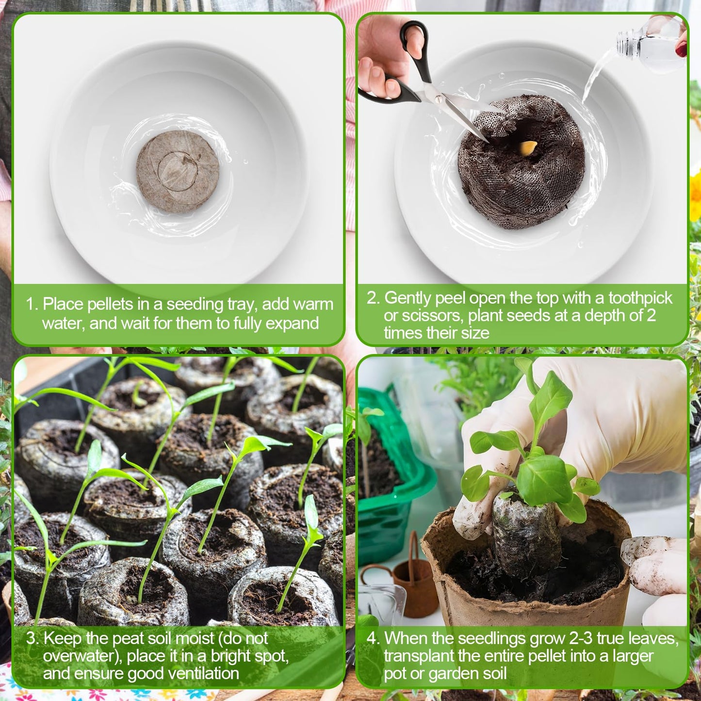 Legigo 100 Pcs 30mm Peat Pellets Seed Starter Soil Pods- Seedling Soil Block Peat Pods for Seed Starting, Compressed Seed Pod Starter Plugs for Garden Plant Cuttings Herb Flower and Vegetables