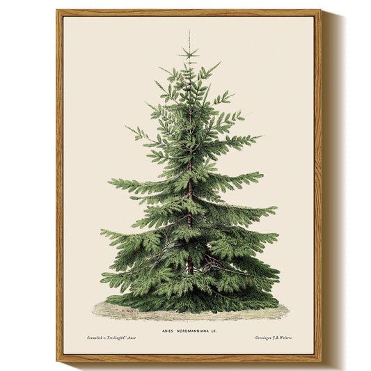 InSimSea Framed Canvas Wall Art, Vintage Christmas Decor, Living Room Pine Tree Winter Artwork, Botanical Fir Decor for Bedroom Bathroom, Cottagecore Xmas Holiday Decorations Gifts, 12x16 Inch