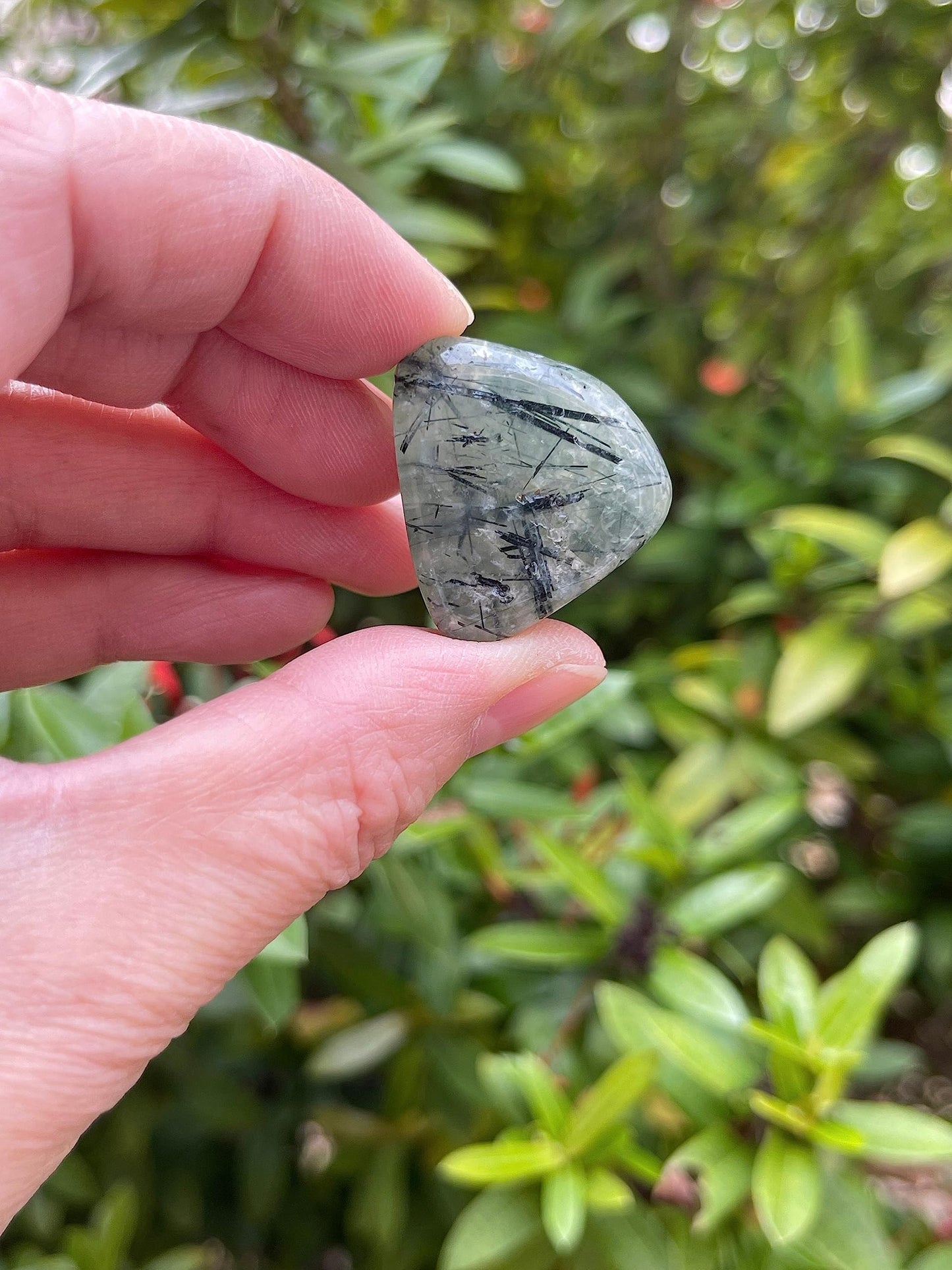 GAF TREASURES 5 Pcs Prehnite with Rutile Tumbled Stones, Polished Natural Prehnite with Rutile Gemstone, Prehnite with Rutile Healing Crystals (Prehnite with Rutile)