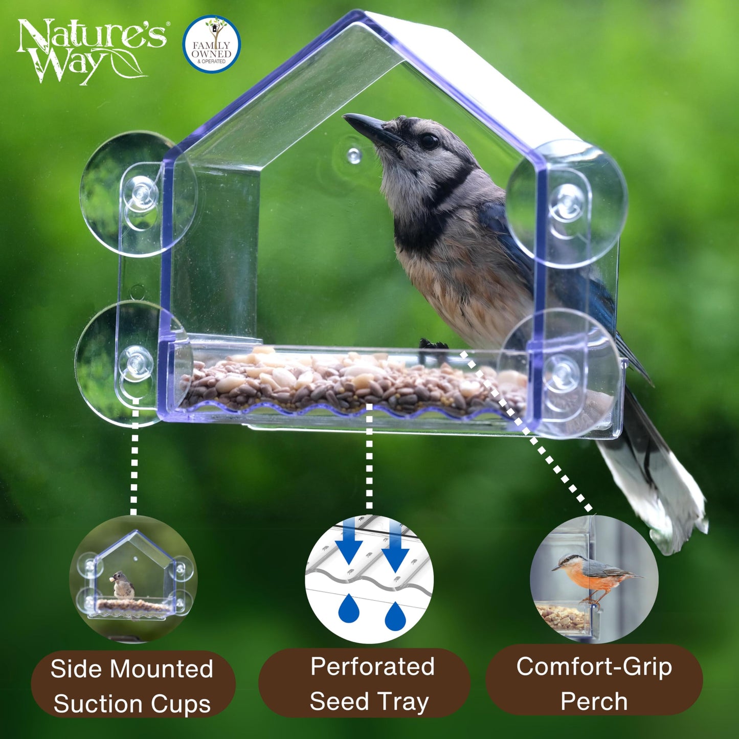 Nature’s Way Crystal Window Seed Feeder with 4 Secure Suction Cup Mount, Clear 2-Cup Capacity Hanging Bird Feeder for Close-Up Viewing, 6.5"