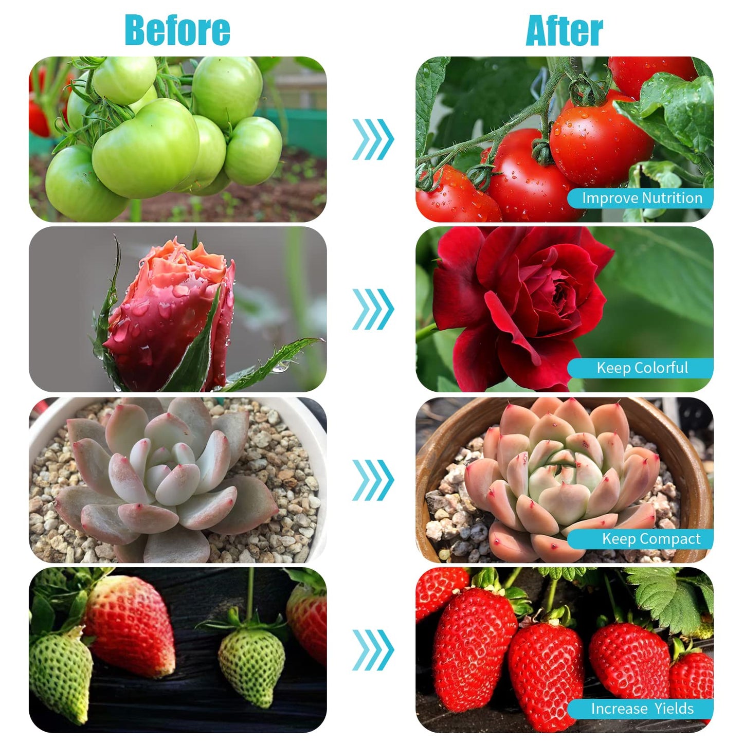 Hywyimlait Grow Lights for Indoor Plants, 84LEDs Clip Plant Lights, Full Spectrum LED Plant Growing Lamps with FlexibleGooseneck4/8/12/18H Timer, 3 Spectral Modes, 10 Dimmable Levels (1 Pack)