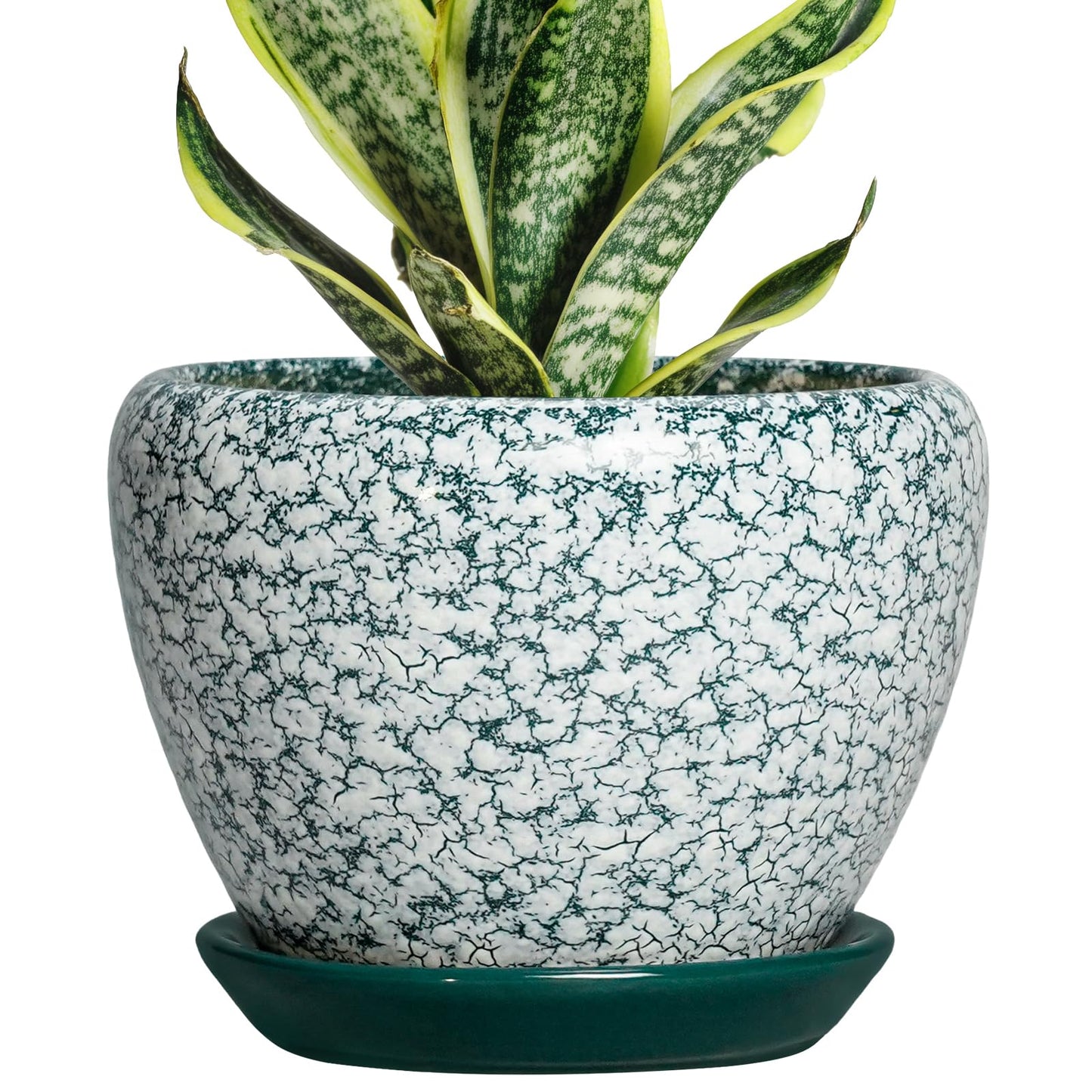 Thirtypot Ceramic Plant Pot - 6 Inch Planters for Indoor Plants, Round Succulent Pots with Drainage Hole and Saucer, Modern Decorative Plant Pots, Bathroom Decor, House Warming Gifts, Crackle Green