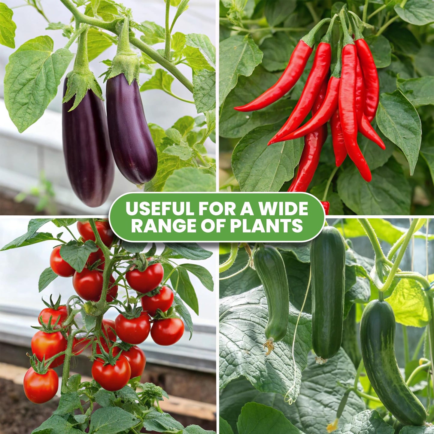 K-Brands Tomato Cage - Tomato Plant Stakes Support Cages, Trellis for Garden & Pots (Tall Upto 68 Inches)