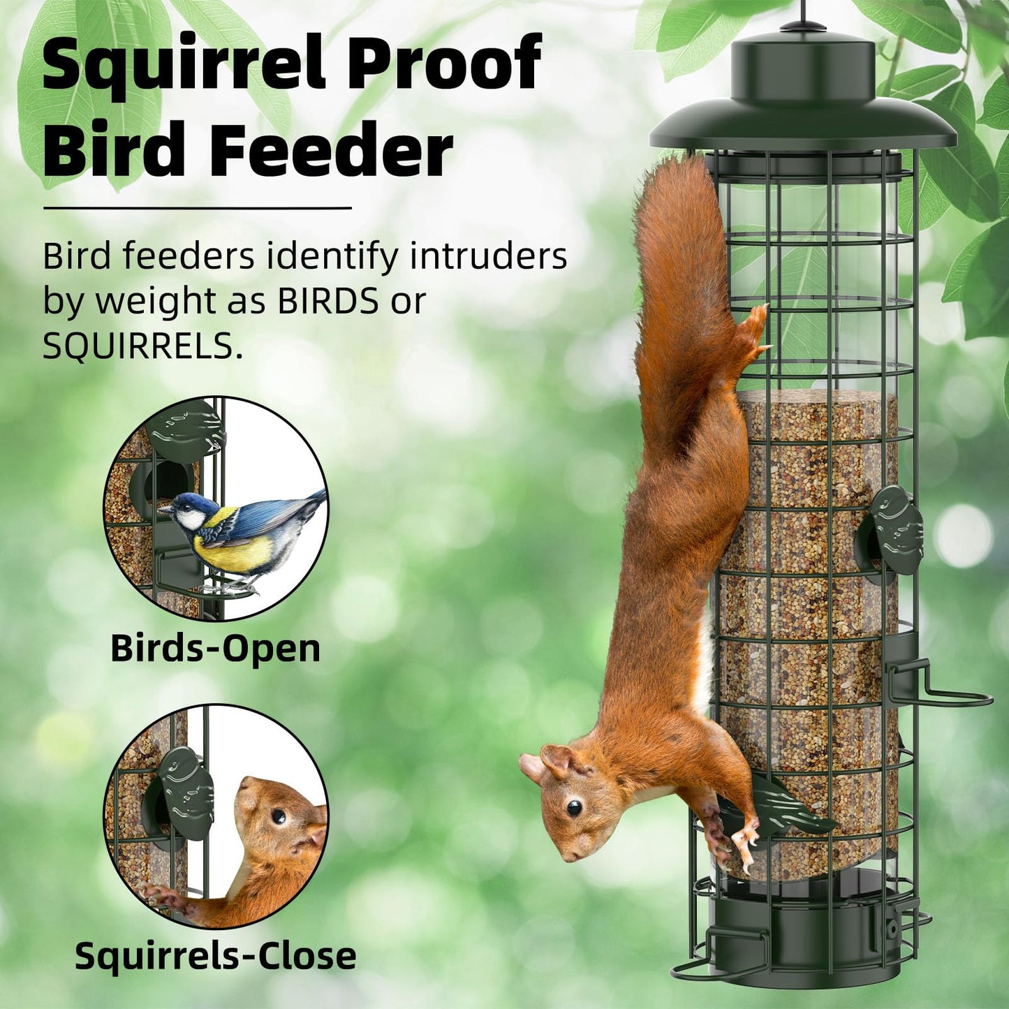 Squirrel Proof Bird Feeder,Metal Mesh Bird Feeders for Outdoors Hanging,Gravity Protection Squirrel Proof Wild Bird Feeders with Finch Cardinal Chickadee,3LB Large Capacity,Green