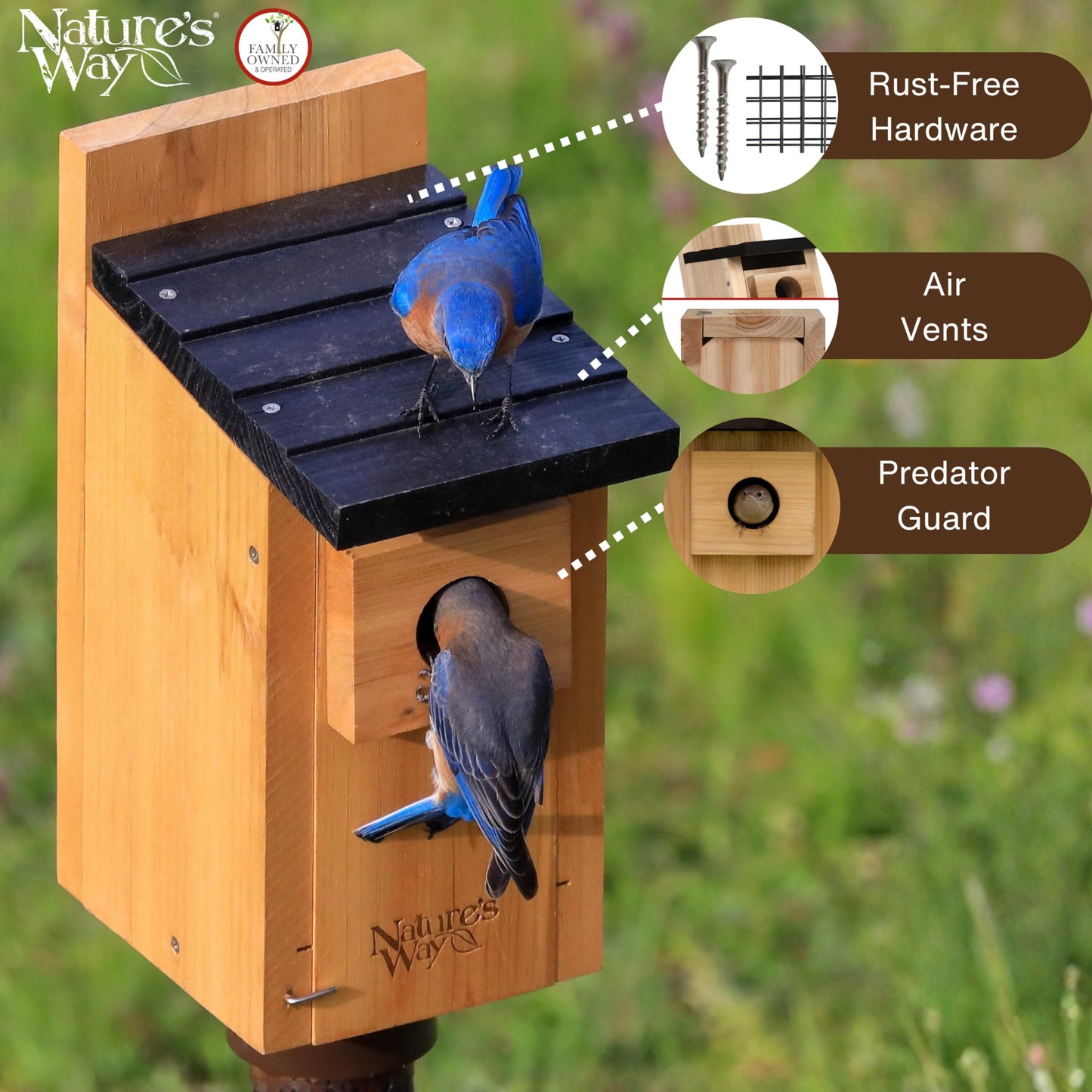 Wild Wings WWCH3 Cedar Blue Bird Box House