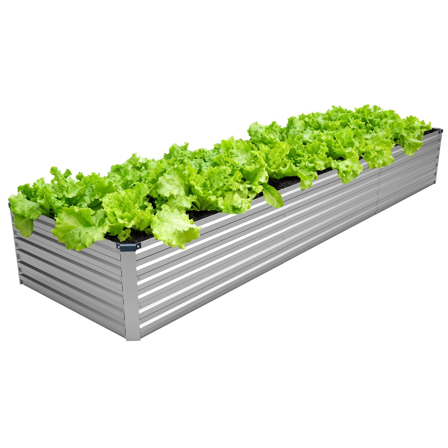DIIYIV 12x2x1.5FT Galvanized Raised Garden Bed,Vegetable Boxes-Rectangle Metal Flower Box,Large Planter Raised Beds Outdoor Garden for Planting,Fruit,Herb-Silver