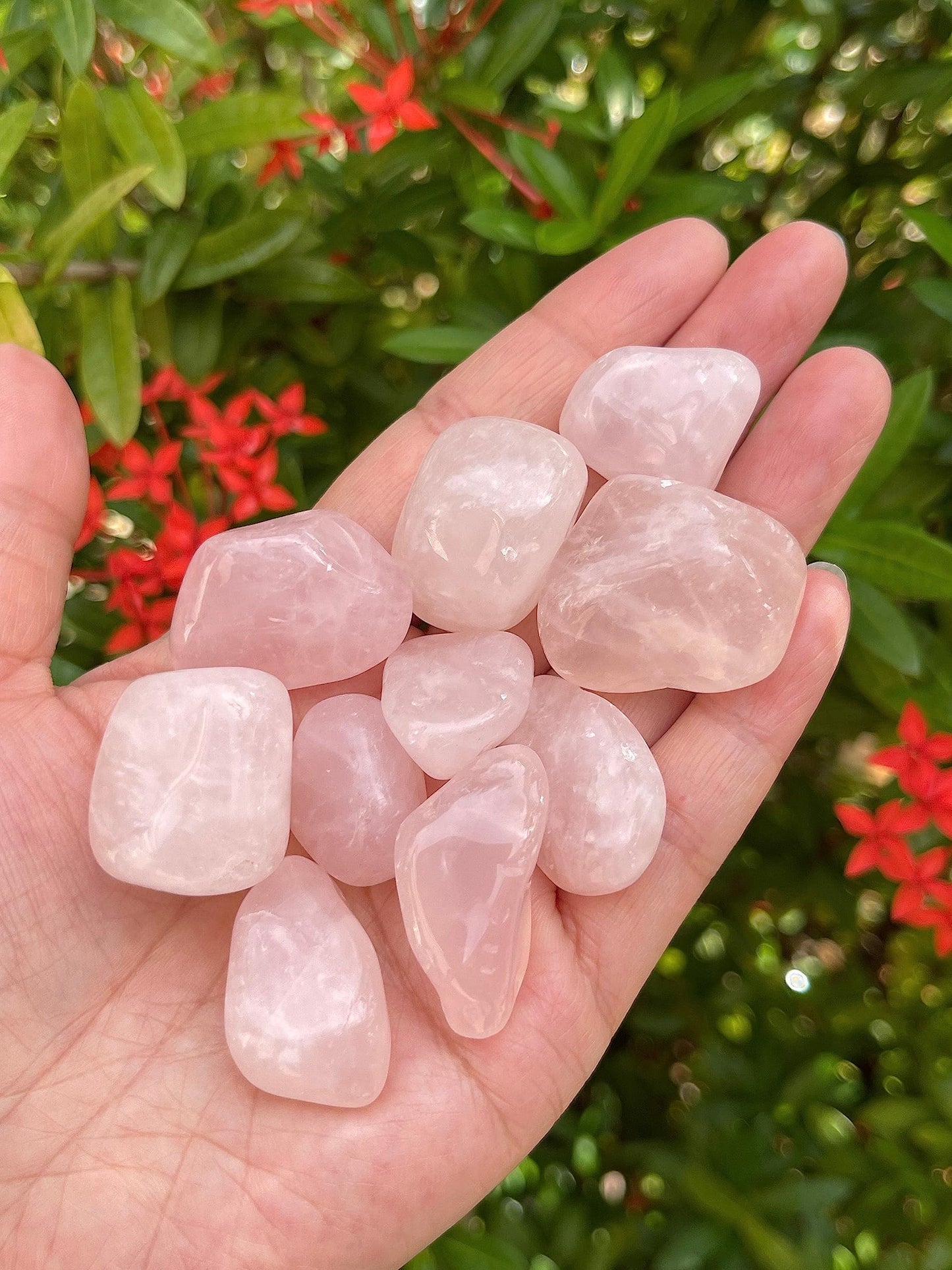GAF TREASURES 5 Pcs Tumbled Rose Quartz Stones, Polished Quartz Healing Crystals