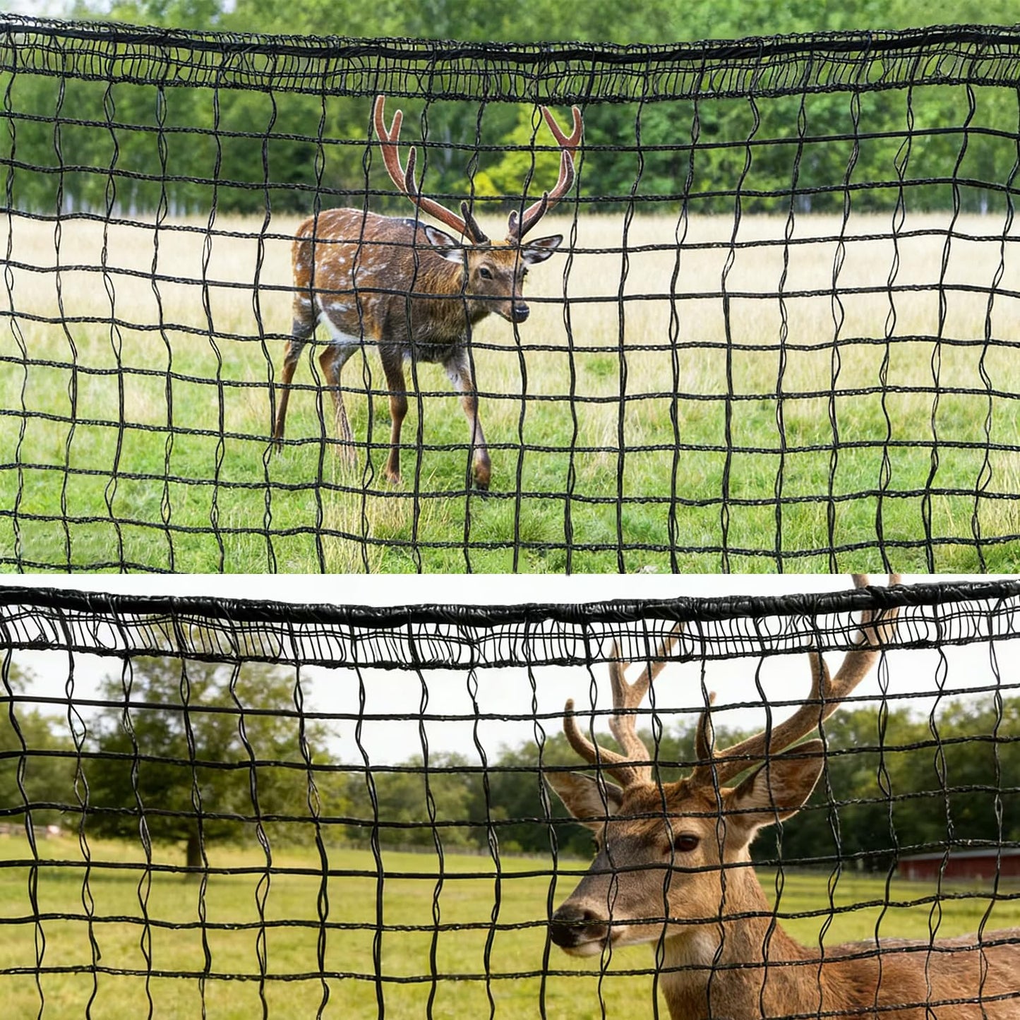 Deer Fence Netting, 4 x 75ft Heavy Duty Plastic Mesh Deer Netting, 55GSM Deer Fence for Garden, Reinforced Edges Anti Bird Netting Mesh for Trees Vegetable Raised Bed(55GSM, 4 x 75ft)
