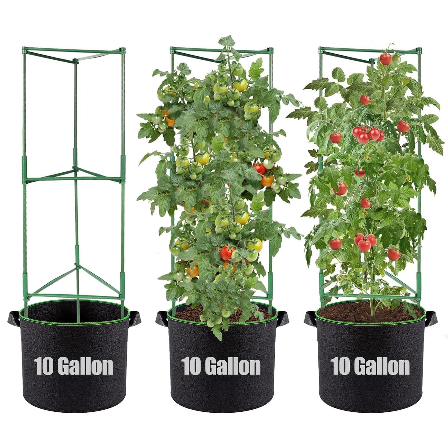 ANPHSIN Sturdy Triangle Tomato Cage with Movable 10 Gal Grow Bags - 3 Sets 47'' Plants Garden Trellis Planters, Support for Indoor Outdoor Beans, Peppers, Eggplants, Climbing Vegetables