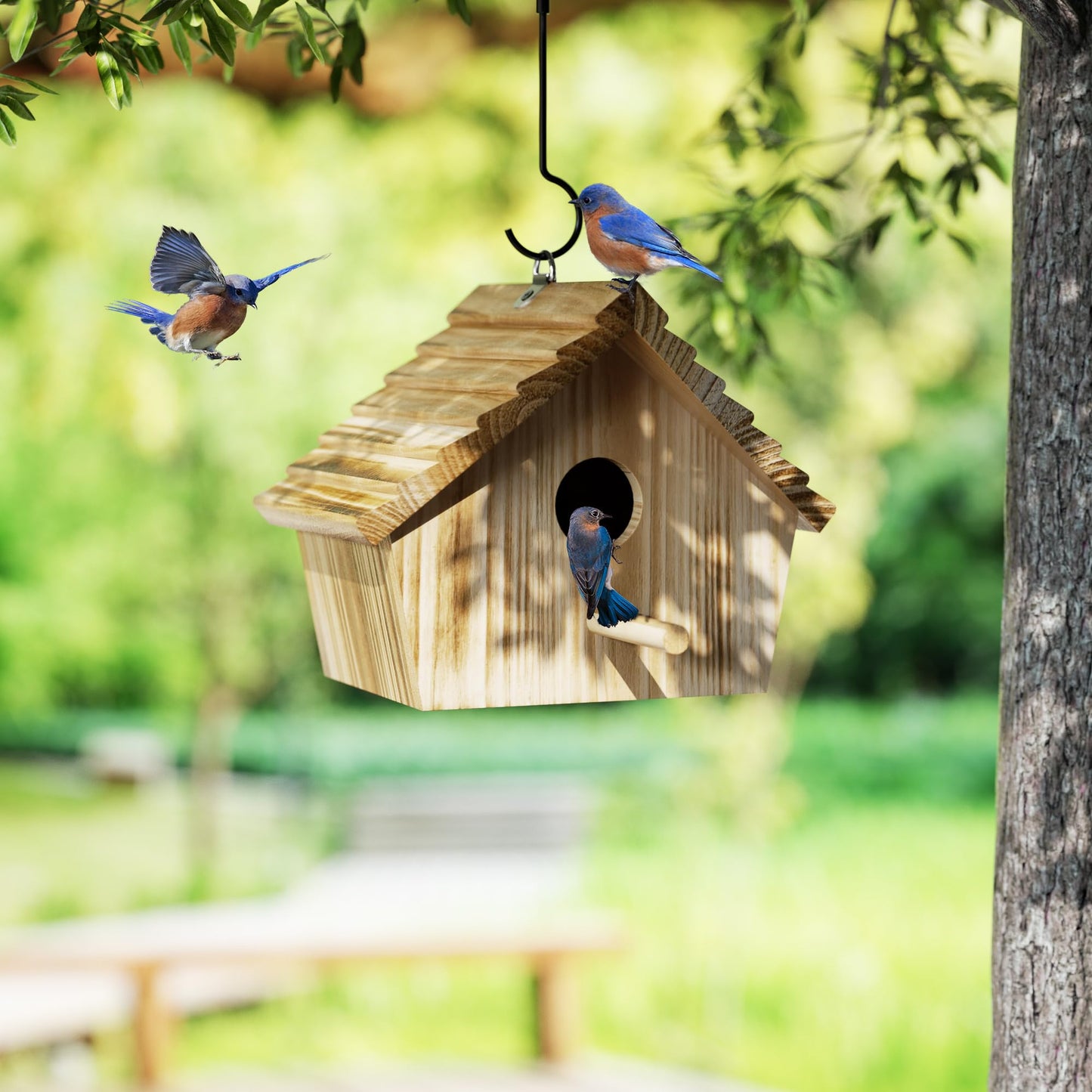 Auslar Bird House, Bird Houses for Outside, Wooden Birdhouse for Outdoors, Hanging Bluebird House for Cardinals Finch Wren Swallow for Wild Bird Viewing