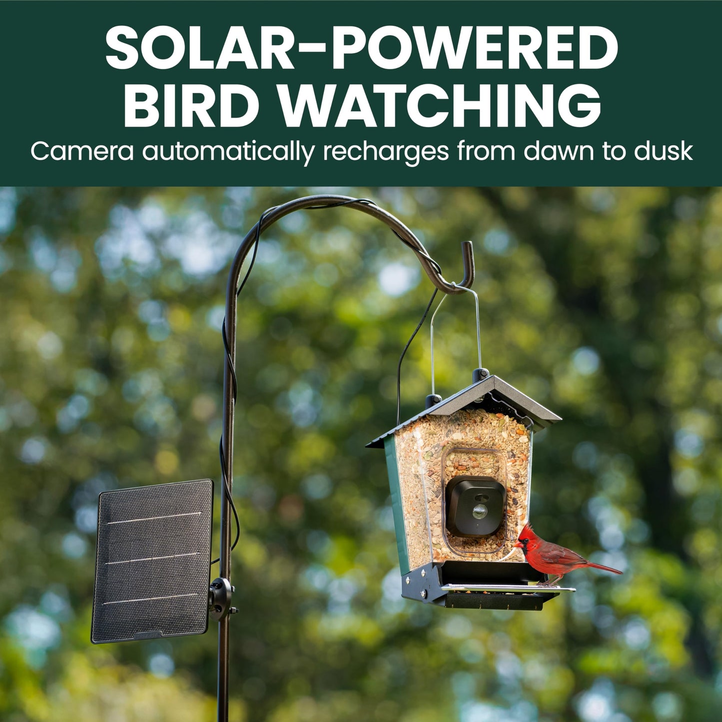 Perky-Pet Solar Powered Smart Bird Feeder with Camera - Squirrel-Resistant, 3.2L Capacity, Motion Activated 1080p HD WiFi Live Stream Camera, SPCAM, SPCAMSLR - Camera Feeder Gift Idea, Forest Green