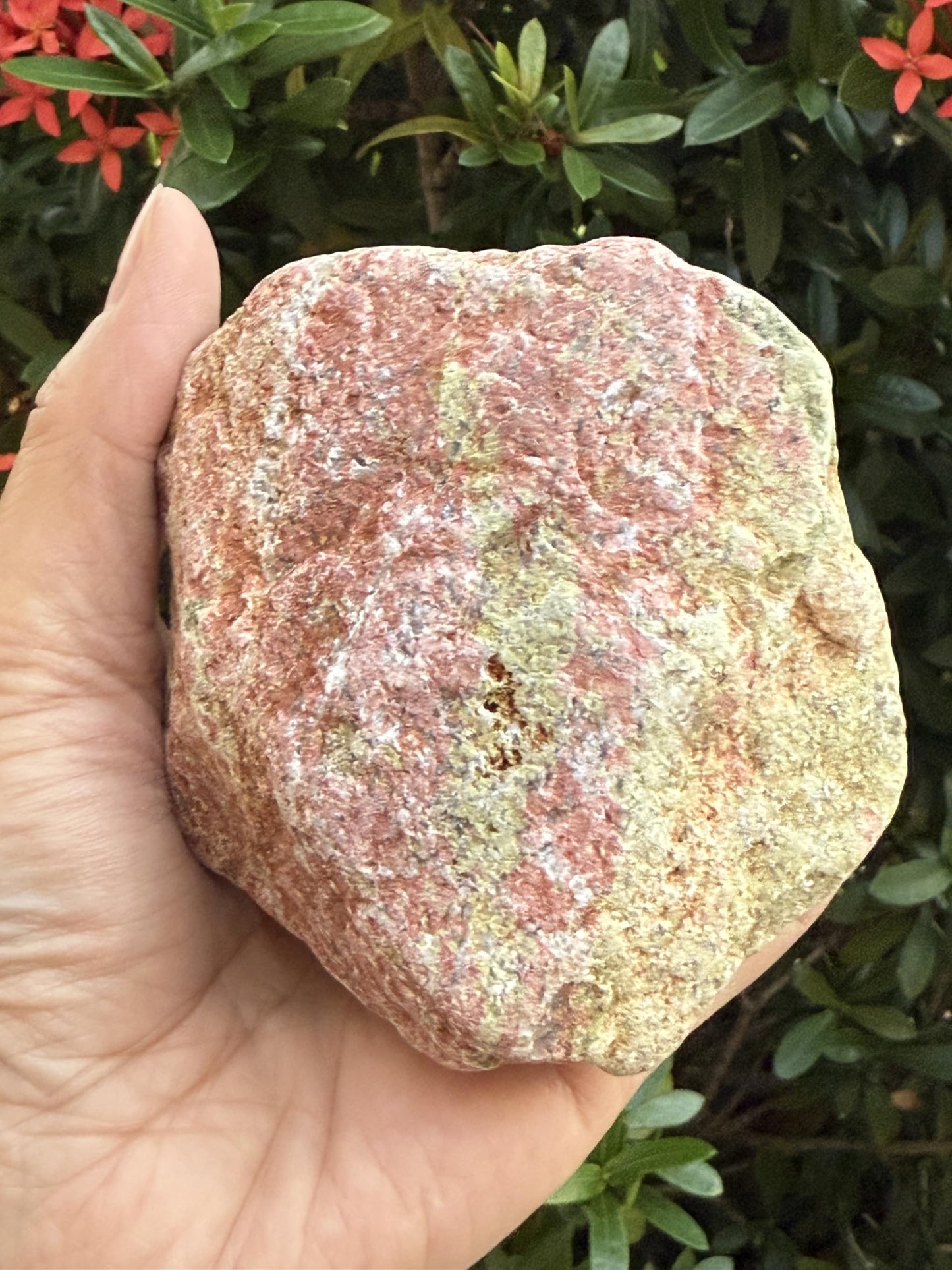 GAF TREASURES XL Raw Unakite, 3-4" Natural Rough Unakite, Unakite Rough, Unakite Healing Rough Crystal (Unakite, 0.5-1 lb)