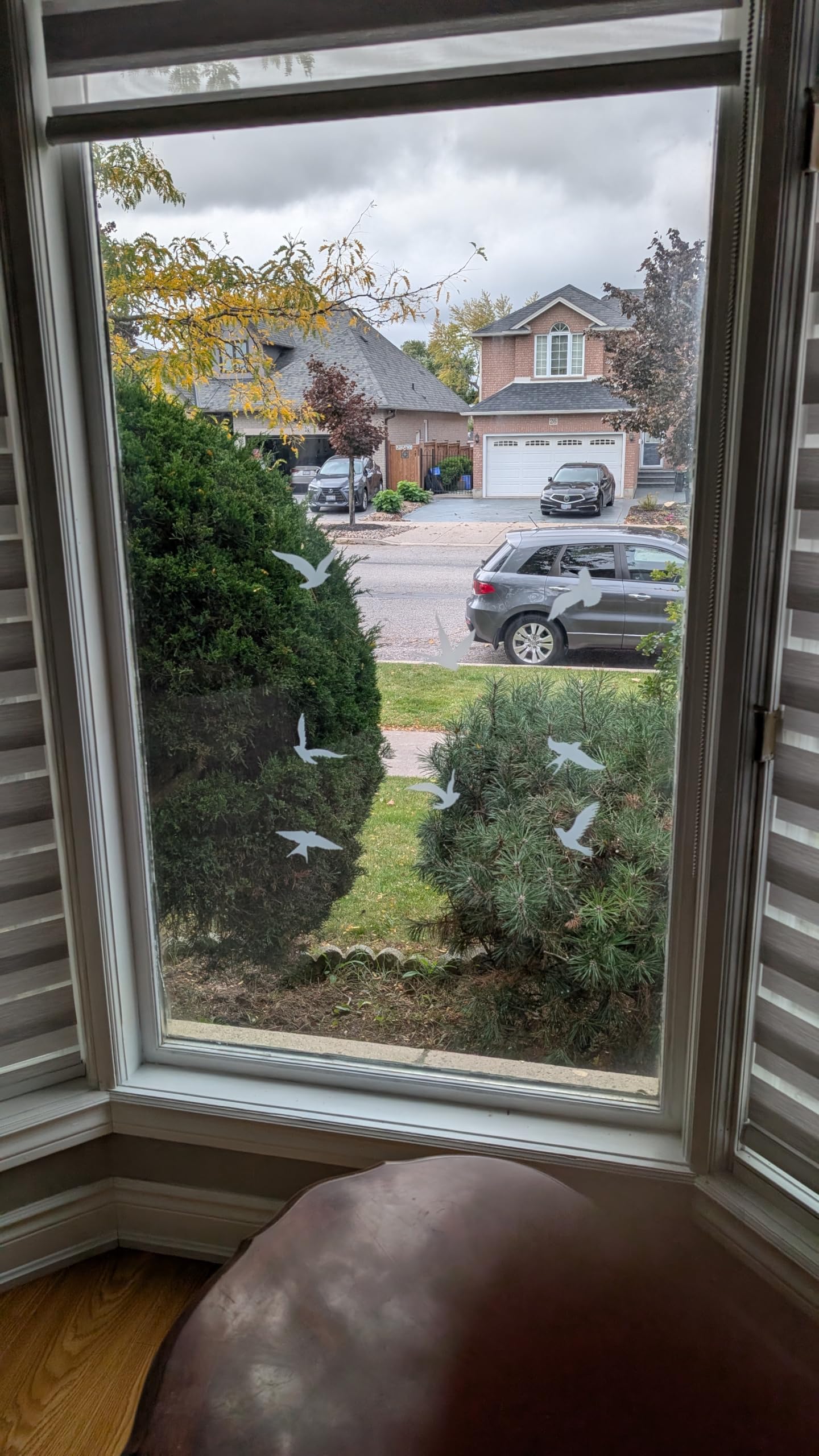 Frosted Anti-Collision Window Bird Stickers – Bird Strike Prevention Decals for Glass Doors & Windows, Clear Frosted Stickers to Protect and Save Birds from Flying into Glass AG-1972