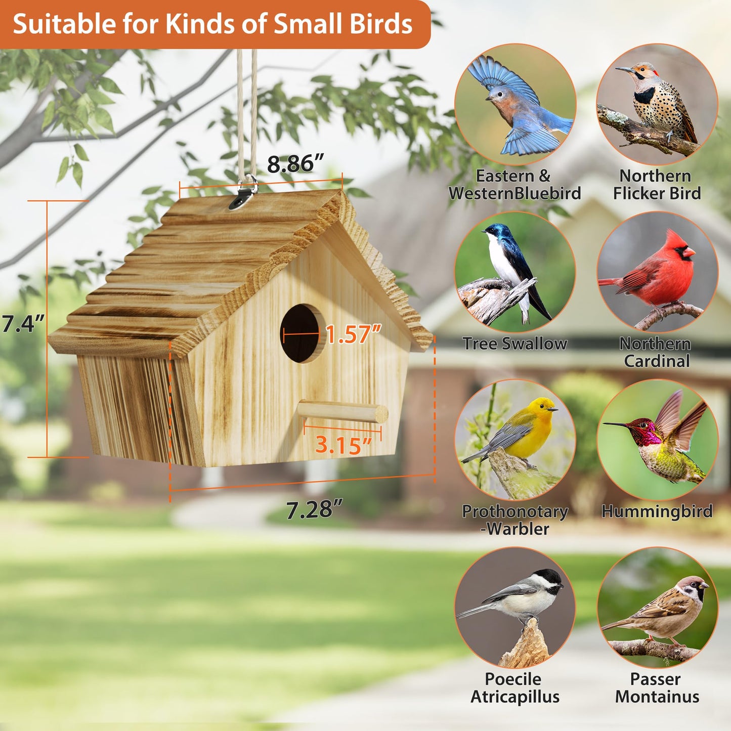 Auslar Bird House, Bird Houses for Outside, Wooden Birdhouse for Outdoors, Hanging Bluebird House for Cardinals Finch Wren Swallow for Wild Bird Viewing