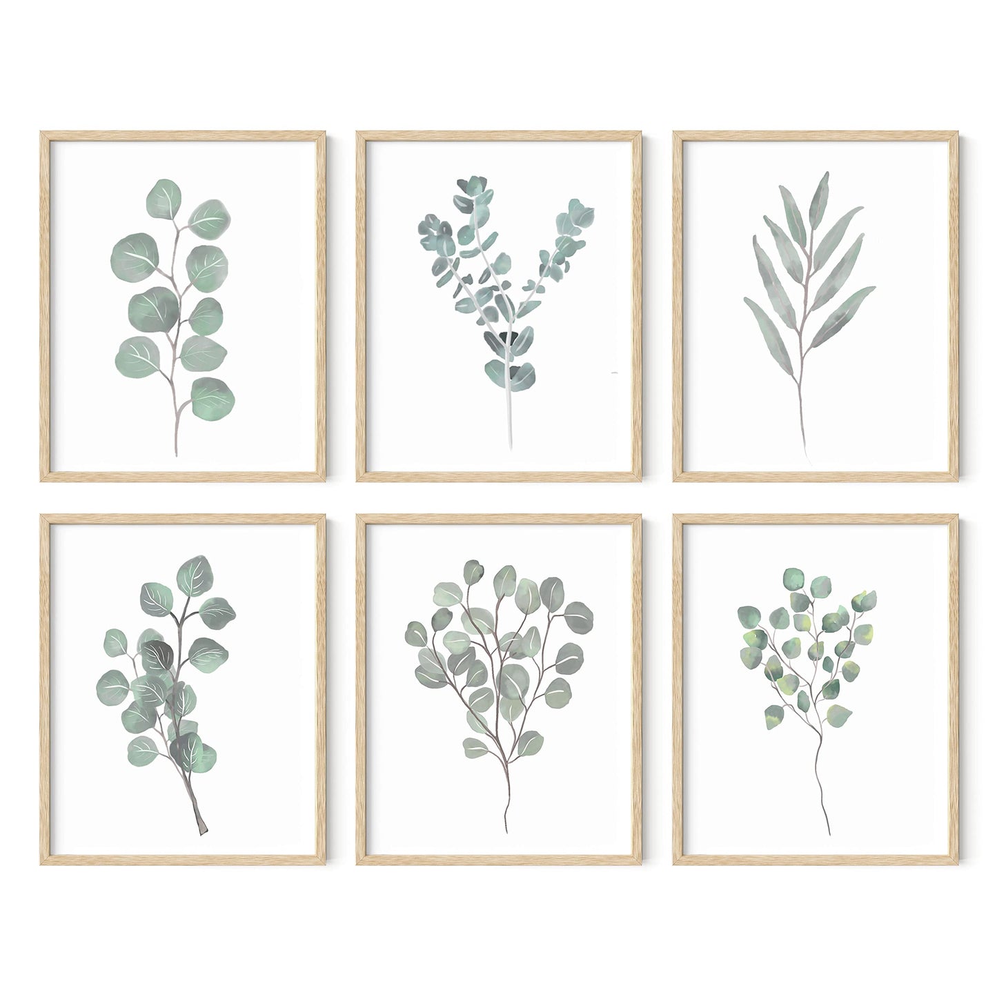 HAUS AND HUES Leaf Prints Botanical Wall Art Set of 6 Nature Art Prints & Eucalyptus Leaves Wall Decor | Botanical Prints Eucalyptus Wall Art Plant Decor | Unframed, 8" x 10"