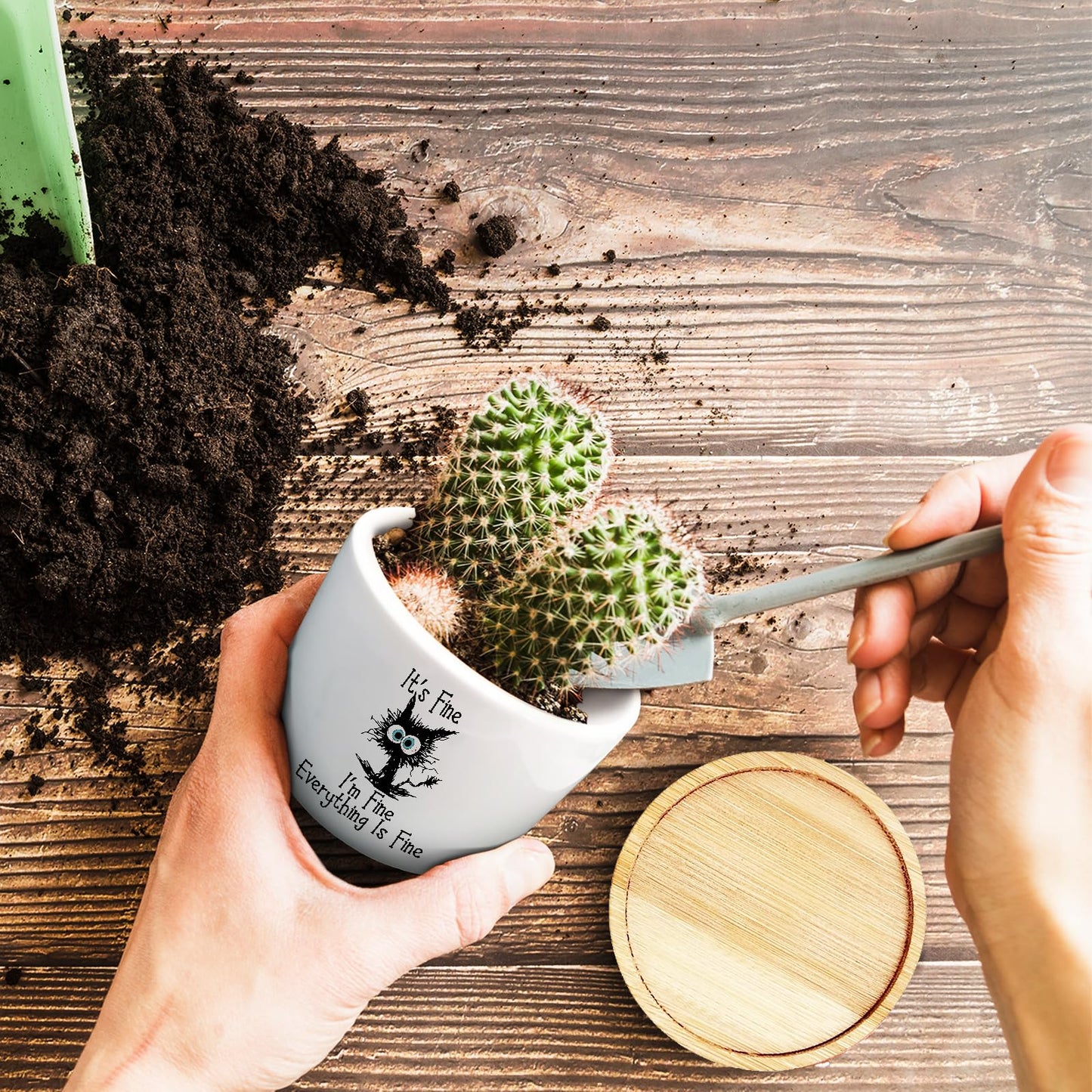 Jutasty Funny Cat Plant Pot for Succulent, Cactus Flower Planter for Indoor Plants, Cute Succulents Pots with Inspirational Quote, Windowsill Decor Planter Gift for Cats Owner Cat Lover (No Plants)