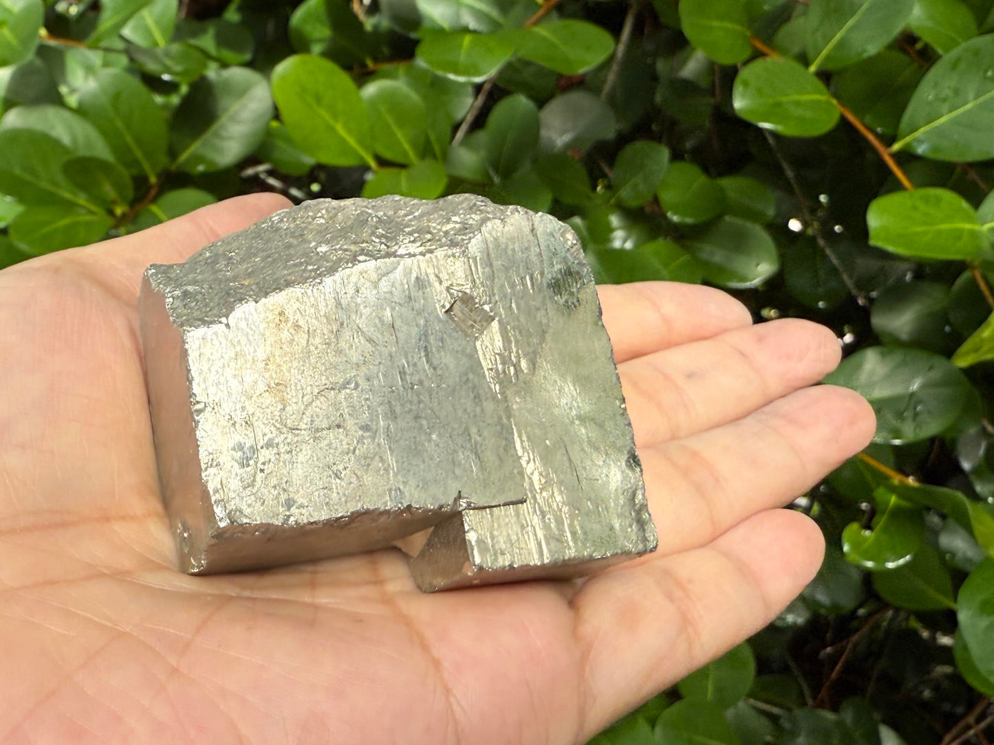 GAF TREASURES XL Raw Pyrite Cube, 3-4" Natural Rough Pyrite Cube, Pyrite Cube Rough, Pyrite Cube Healing Rough Crystal (Pyrite Cube, 0.5-1 lb)
