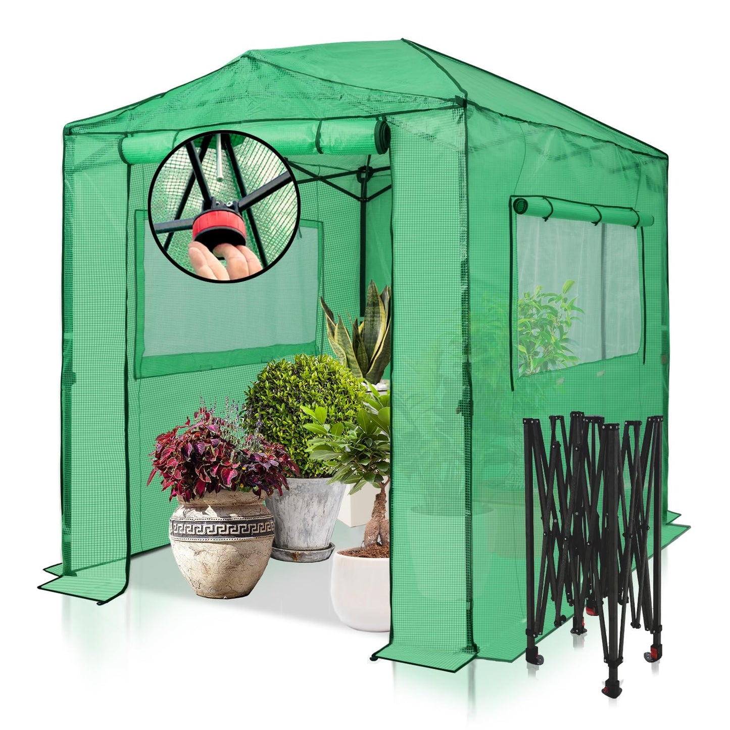 EAGLE PEAK 8x6 Portable Walk in Greenhouse, Pop Up Indoor Outdoor Greenhouse, Green House Kit with Zippered Roll-Up Doors and Windows, PE Cover, Clear/Green