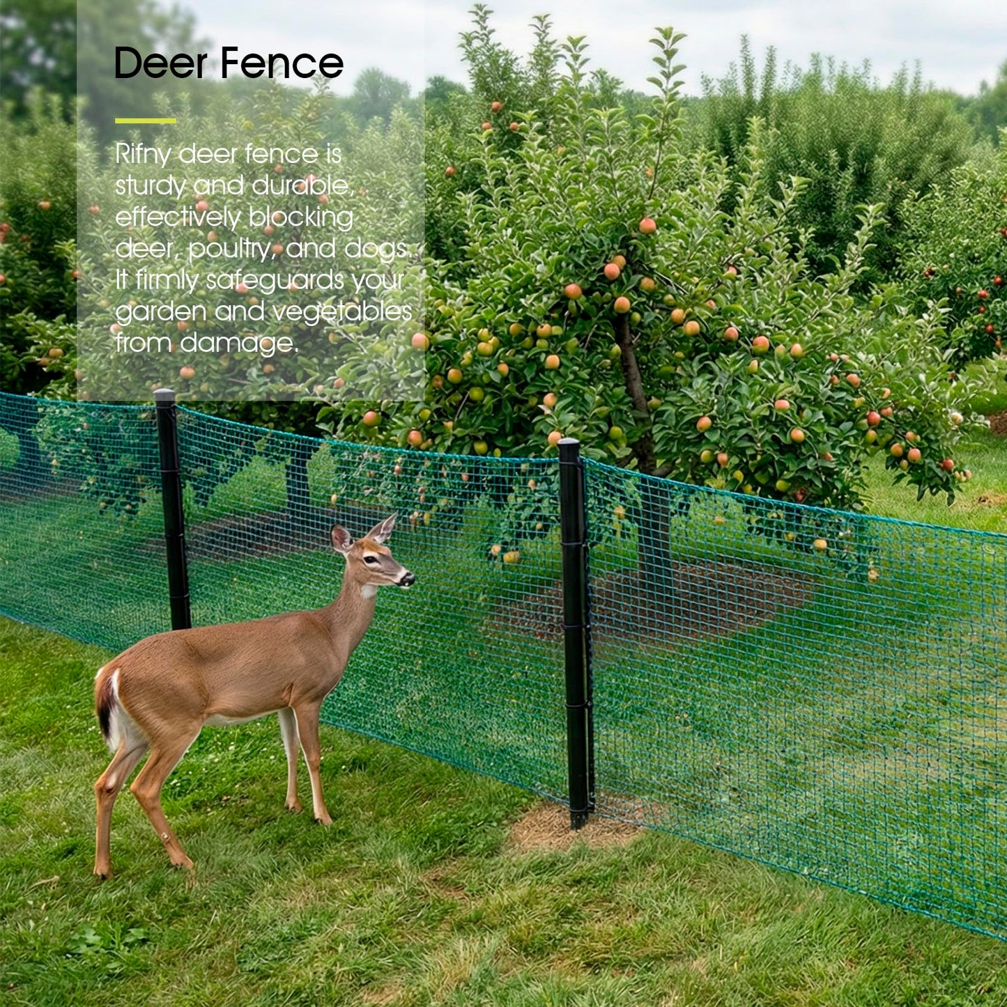 Bird Netting for Garden Protection, 13 x 40 FT Heavy Duty Garden Netting with Ties and Landscape Staples for Vegetable, Fruit Trees & Other Plants Against Birds Deer Squirrels and Poultry
