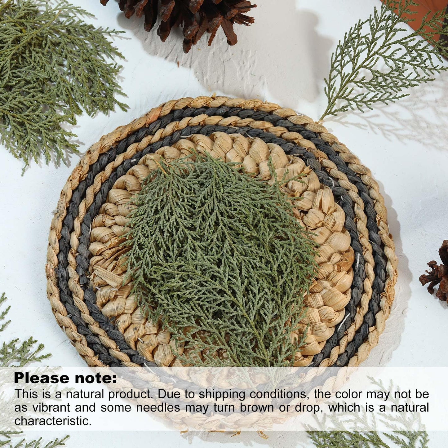 Jtoder Real Pressed Pine Leaves Branches for Christmas Crafts, Natural Dried Botanicals for Resin Ornaments, Wreath Making, Scrapbooking, Festive DIY Home Decor