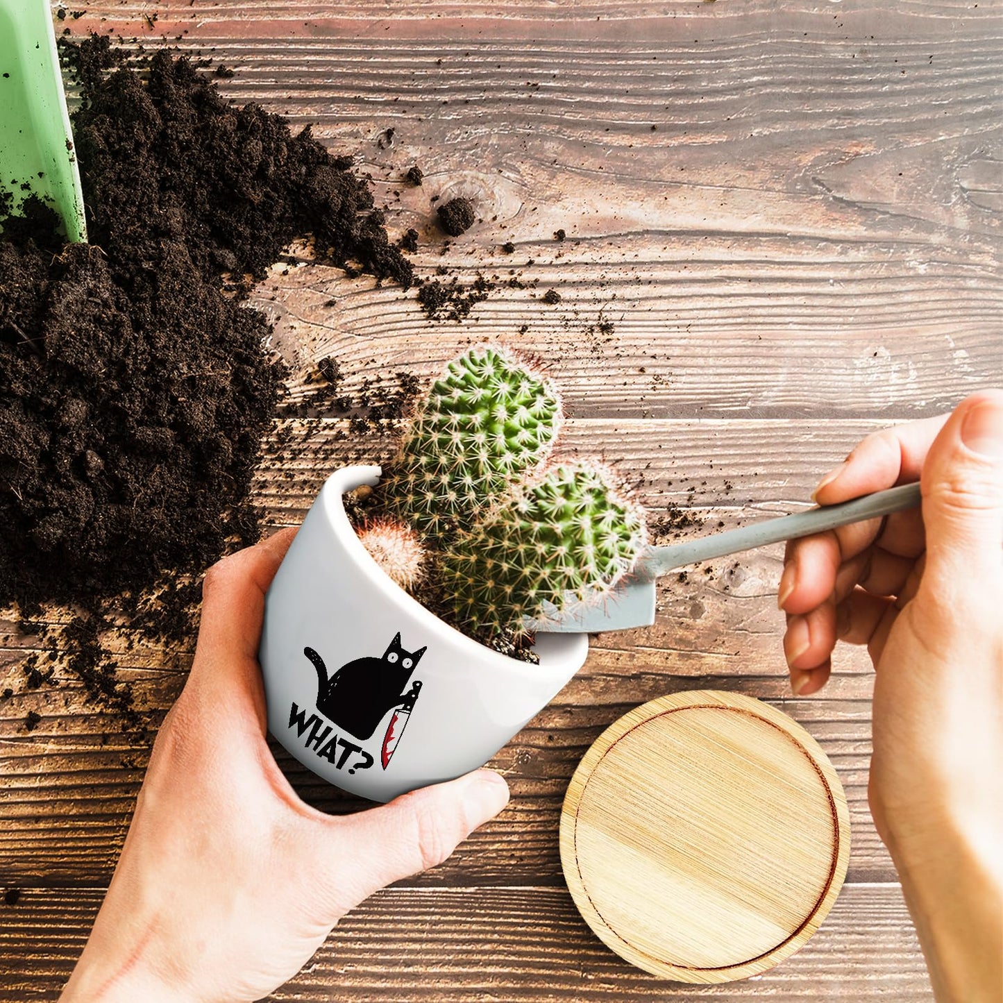 Jutasty Funny Black Cat Plant Pot for Succulent, Cactus Flower Planter for Indoor Plants, Unique Succulents Pots with Drainage, Cats Owner Gifts, Home Desk Decor Planter Gift for Cat Lover (No Plants)