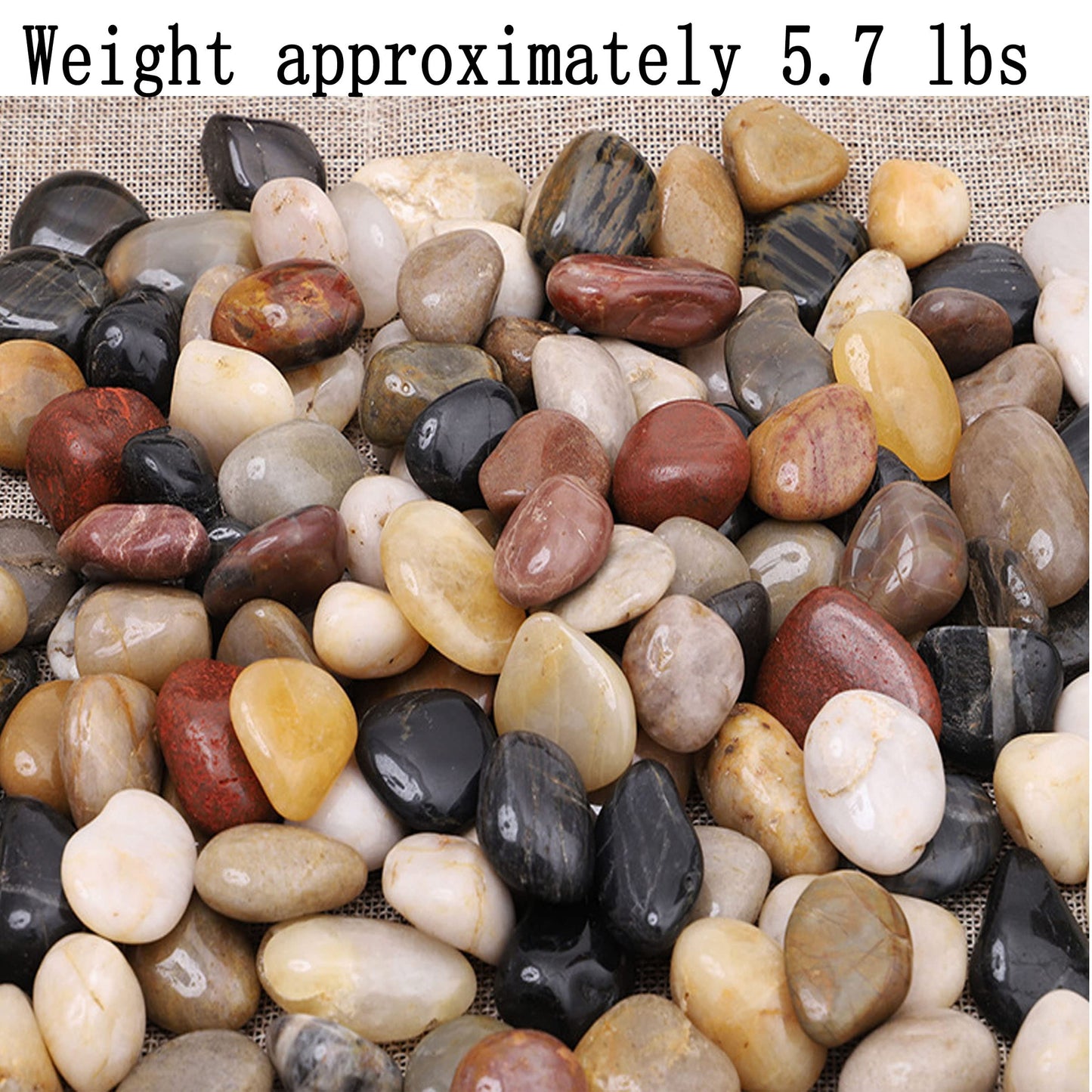River Stones, Plants, Gardens, Landscapes, Succulents, Highly Polished Decorative Pebbles in Shapes and Sizes from 1-3 inches. (5.7LB, 1)