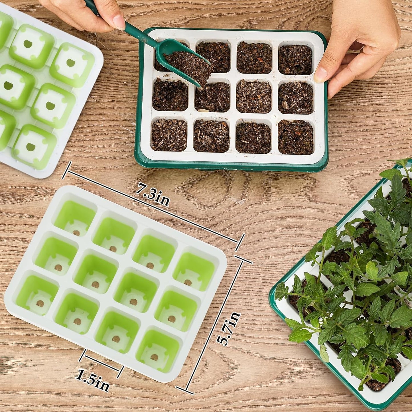 Ryscam 6pcs Reusable Seed Starter Kit, 72 Cells Seed Starter Trays, Silicone Seedling Starter Trays for Starting Plant Seeds with Flexible pop-Out Cells, Indoor Gardening Plant Germination Trays
