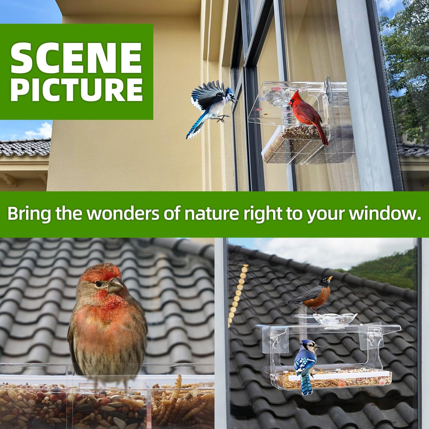 WENMIXER Window Bird Feeder with Non-Marking Self-Adhesive Hooks, Clear and Transparent, Outdoor Wild Bird Watching Gift, Garden Decor (Standard)