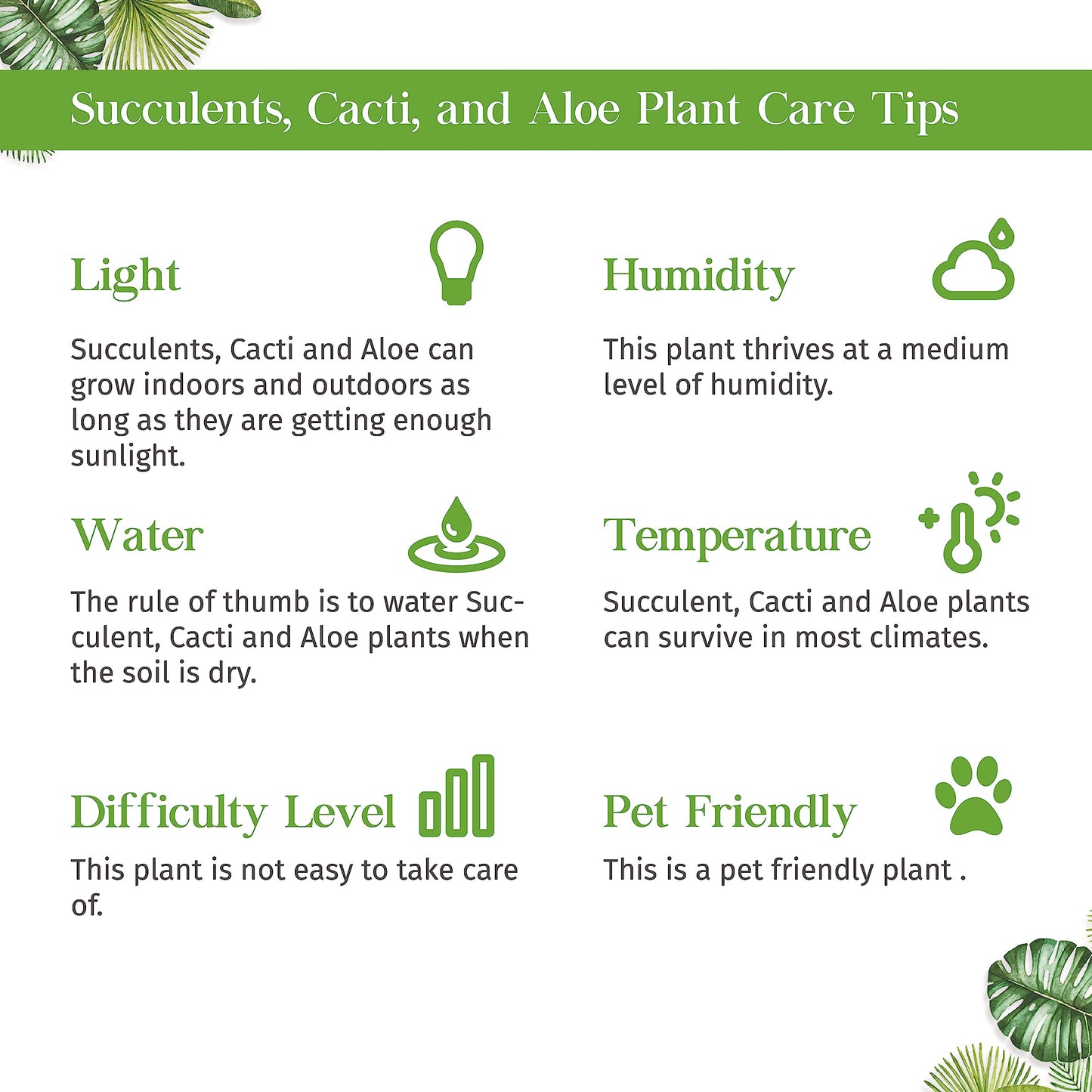 Succulent Haworthia Savanna Live Plant for Indoor | Different Houseplants in 4'' & 6'' Pot | Real House Plant Decor for Living Room, Office, Desk & Bathroom | Little Warty Ox Tongue