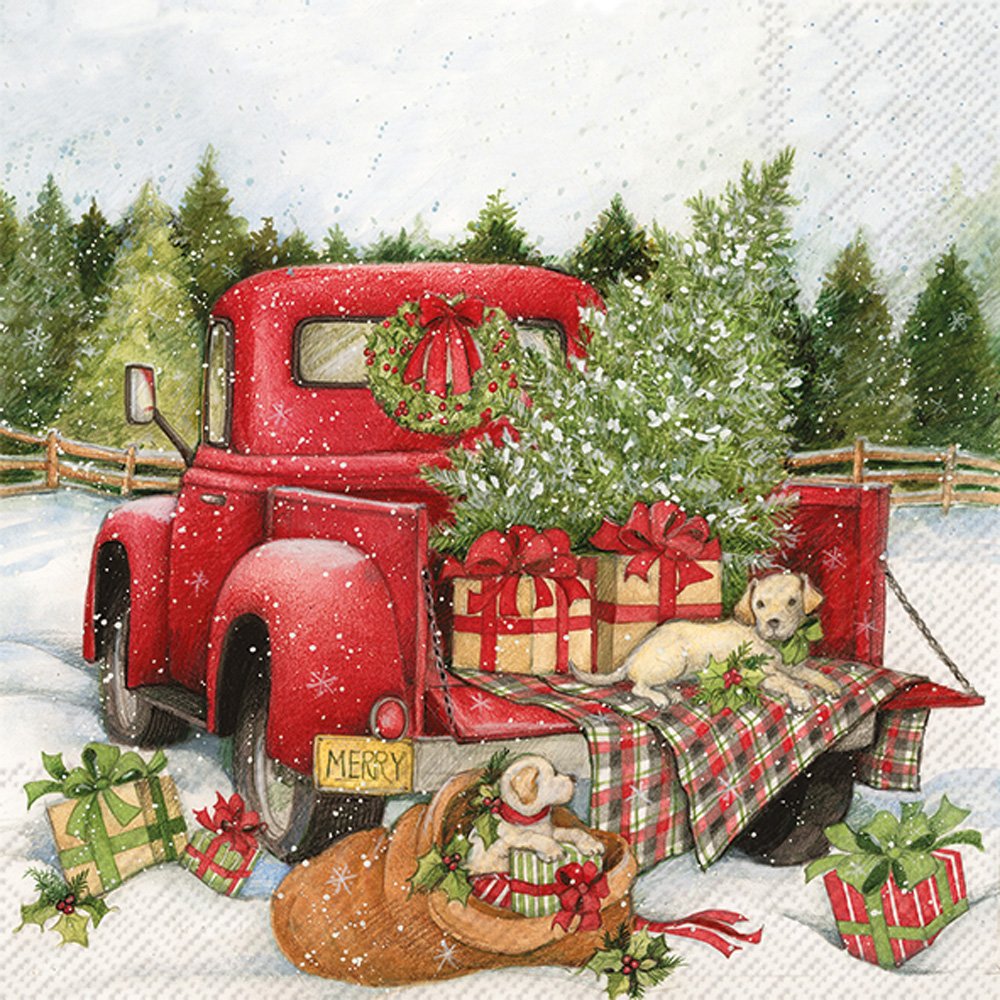 IHR Ideal Home Range Cocktail Napkins Winter Holiday 3-Ply Paper Napkins, 20-Count, 5" x 5", Christmas Delivery