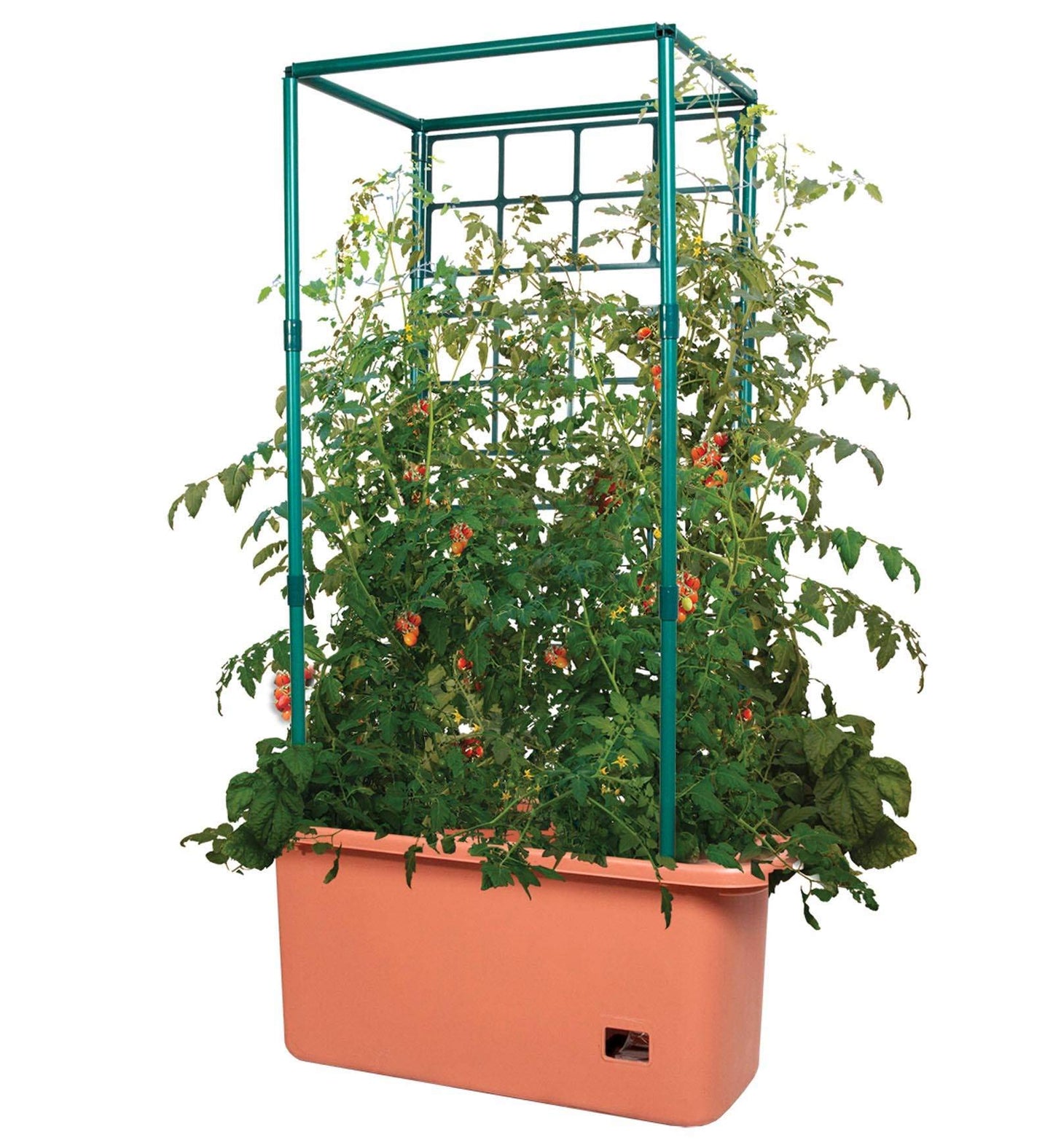 Hydrofarm GCTR 10 Gal Tomato Garden Planting Grow System with 4 Foot Trellis Tower on Wheels for Indoor/Outdoor Climbing Vines, Flowers, and Gardens
